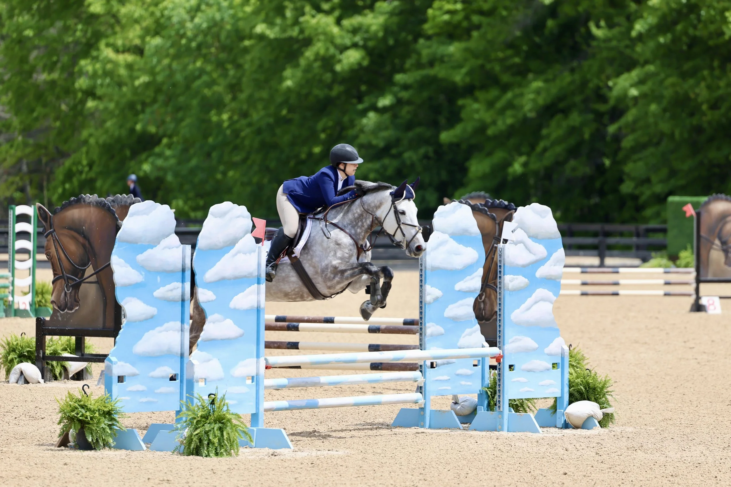 A rider in a blue jacket and helmet riding a gray horse over a colorful obstacle with cloud patterns at an outdoor equestrian event.