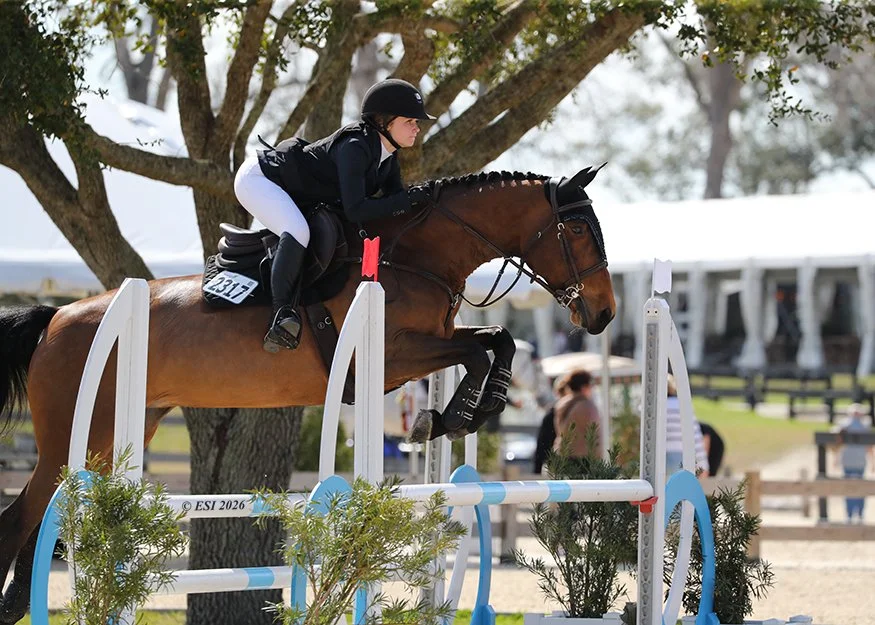 A female equestrian in riding gear and helmet riding a brown horse over a show jump during an outdoor competition.