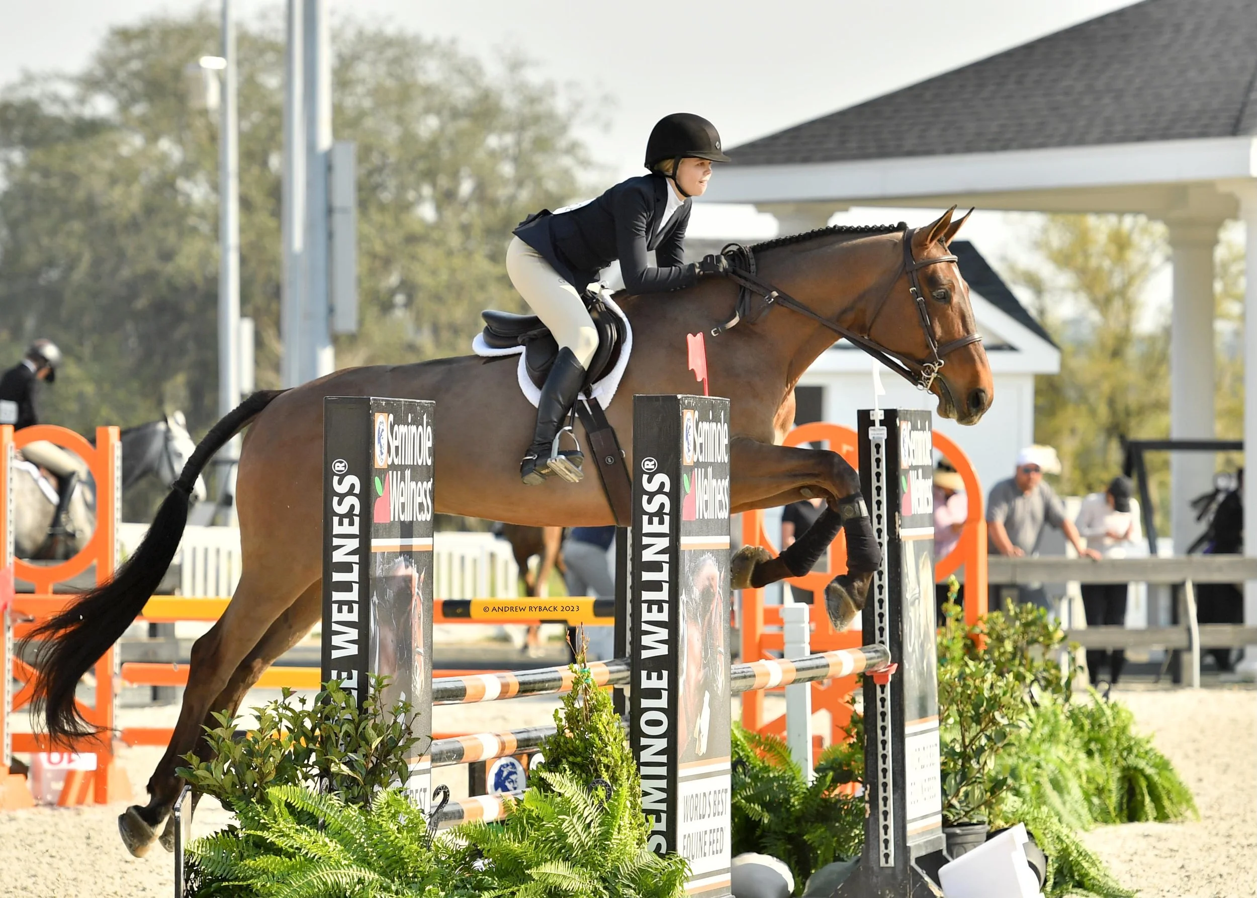A female equestrian rider in formal riding attire and helmet riding a brown horse over a jump at a competition.