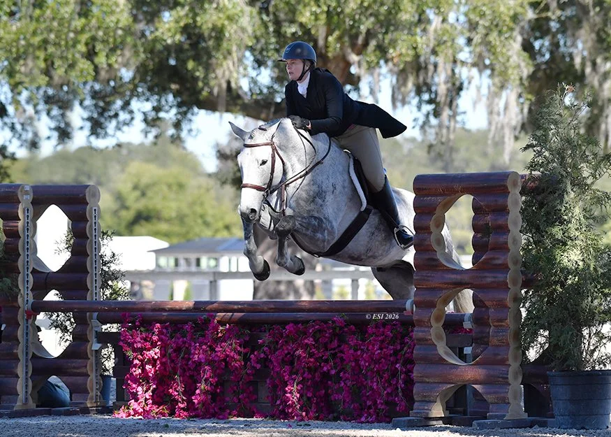 A person wearing a black riding jacket, beige riding pants, and a helmet riding a gray horse over a colorful show jumping obstacle decorated with pink flowers and wooden logs, outdoors with trees and buildings in the background.