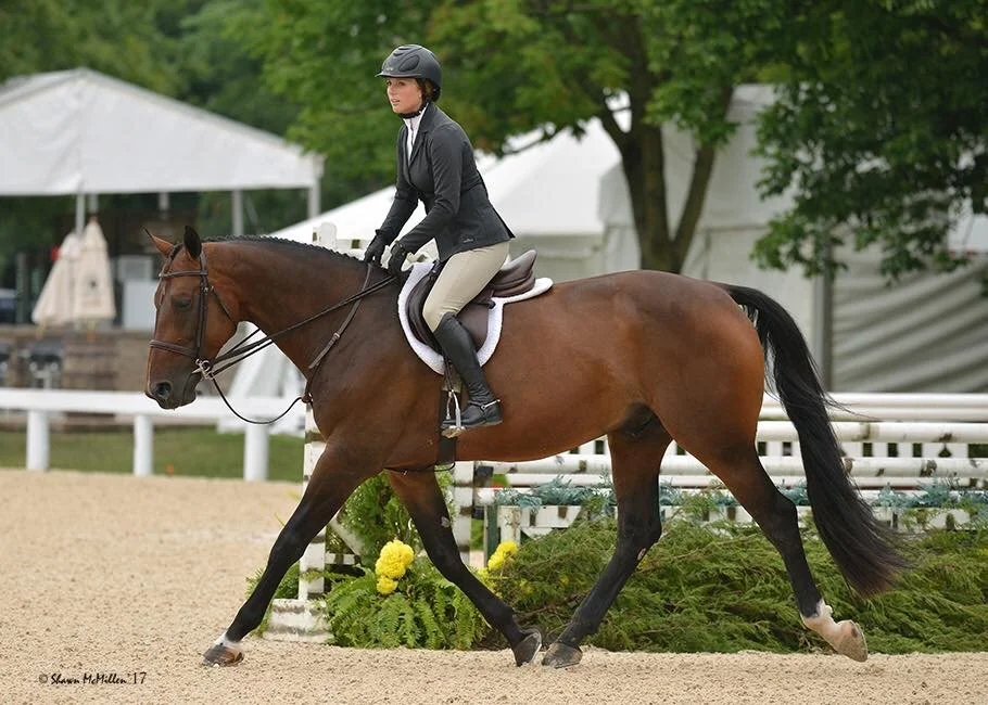 A woman in formal riding attire, including a helmet, riding a brown horse during an equestrian event on a dirt arena with white fencing and greenery in the background.