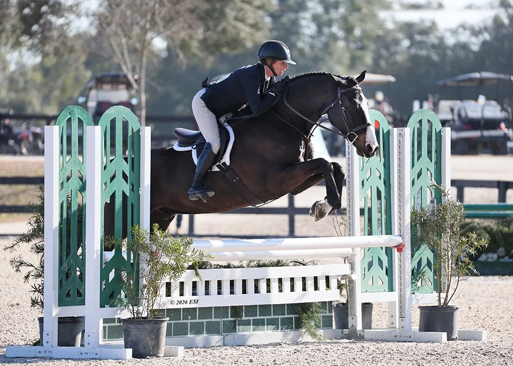 A rider and a dark horse jumping over an obstacle during an equestrian event.