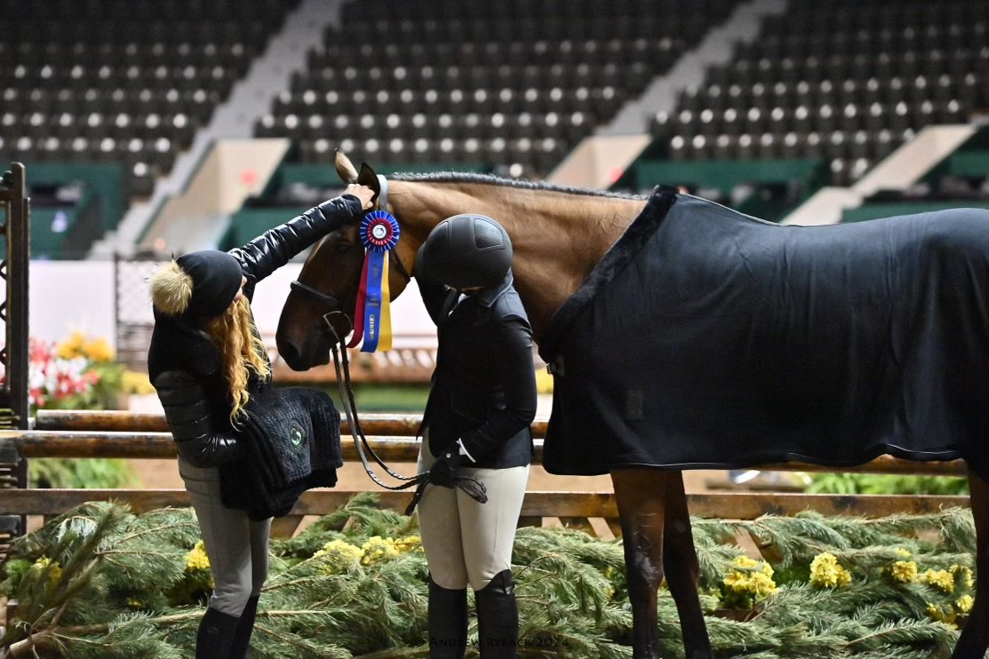 A person placing a red, white, and blue ribbon on a brown horse at an equestrian event. The horse is wearing a black blanket, and the background shows an indoor arena with empty seating.
