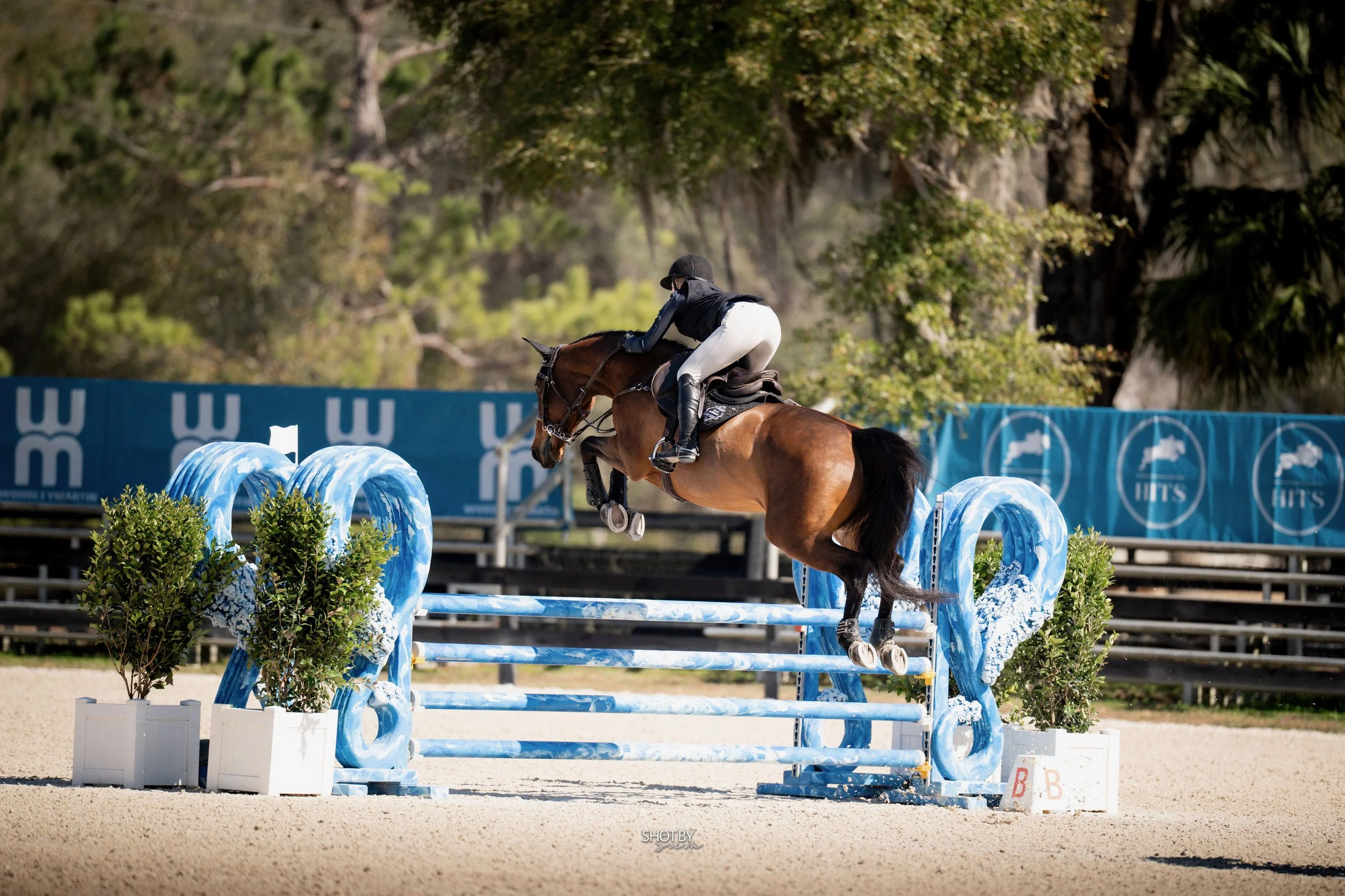 A rider on a brown horse jumping over an obstacle during an equestrian event, with trees and banners in the background.