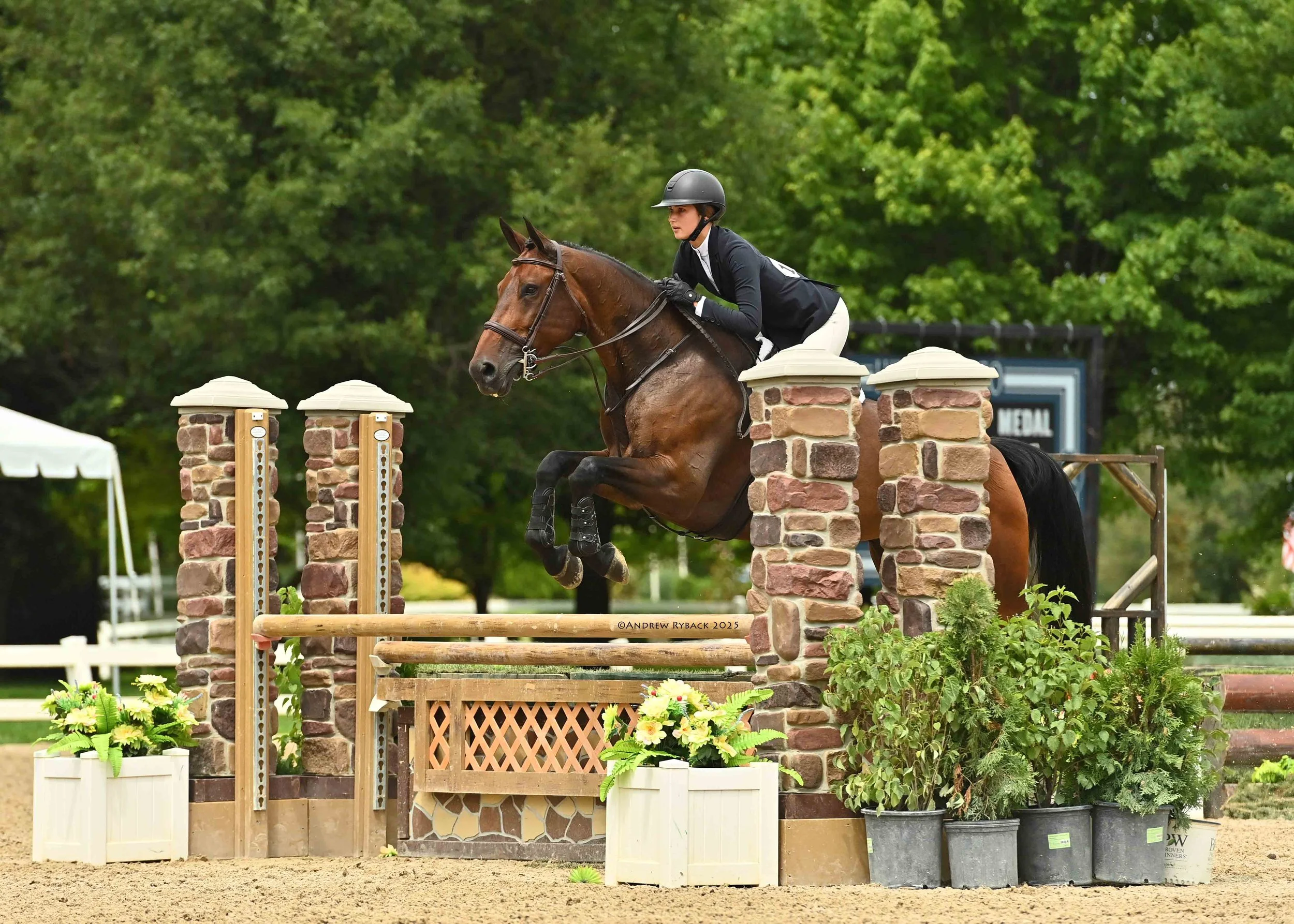 A person riding a horse over a show jumping obstacle made of brick and wood in an outdoor arena with greenery in the background.