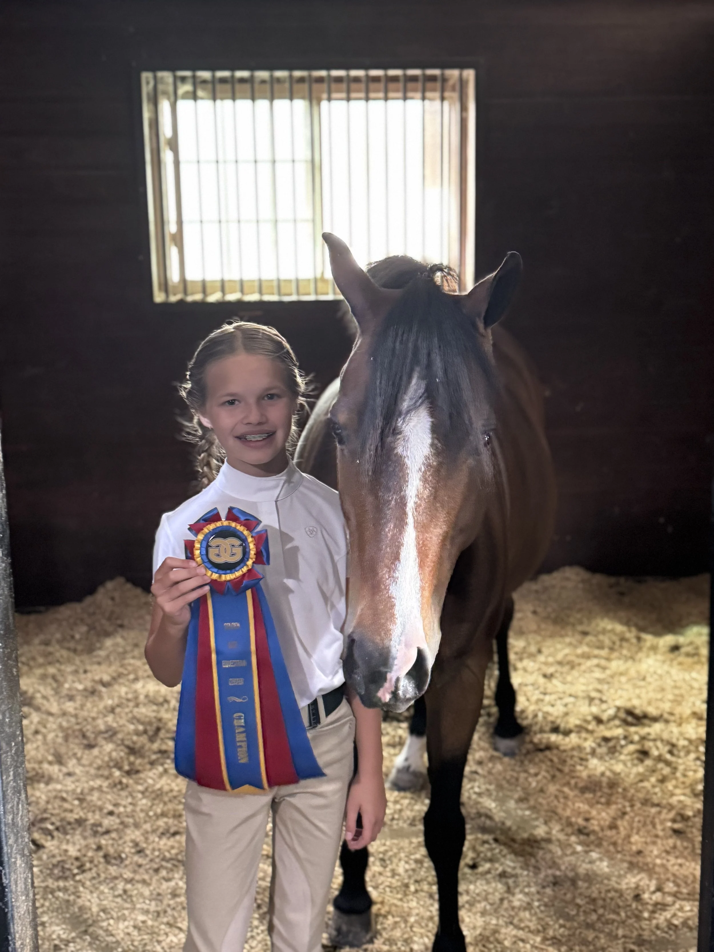 A young girl with braided hair, wearing a white shirt and beige pants, holding a large award ribbon with blue, red, and yellow colors, standing next to a brown horse with a white stripe on its face inside a stable with wood walls and a barred window 