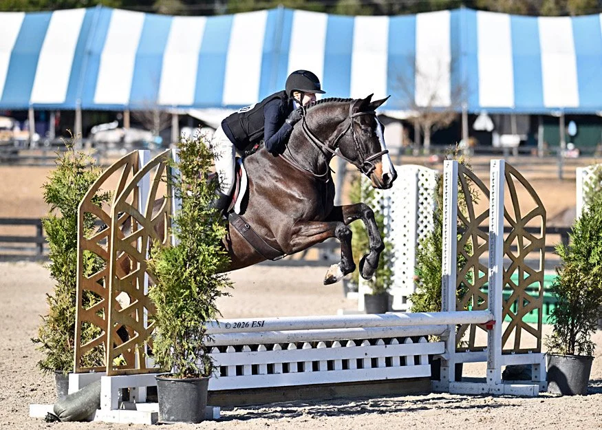 A rider wearing black riding gear jumps over a hurdle on a dark brown horse during a show jumping event at an equestrian competition.