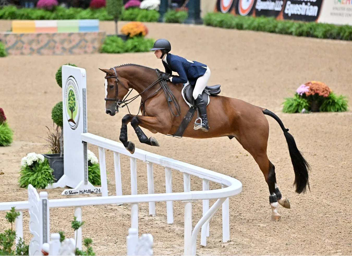 Equestrian rider in formal riding attire and helmet jumping over a hurdle on a brown horse in an indoor arena decorated with flowers and banners.