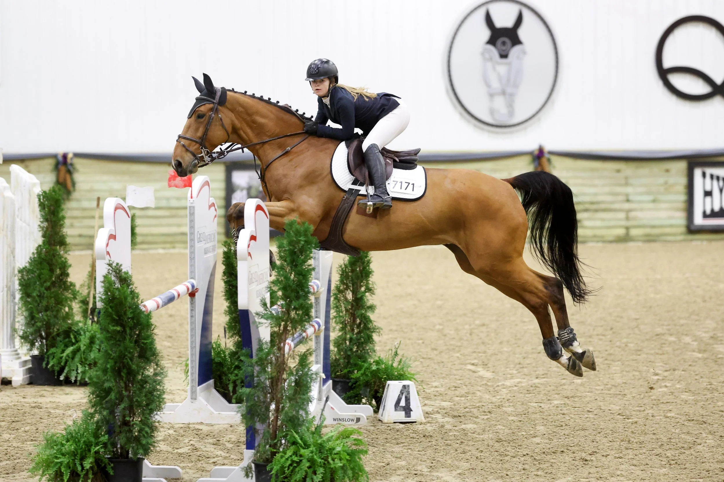 A female equestrian rider wearing a helmet and riding gear jumps over an obstacle on a brown horse inside an indoor riding arena, with decorative plants and horse show signage around.