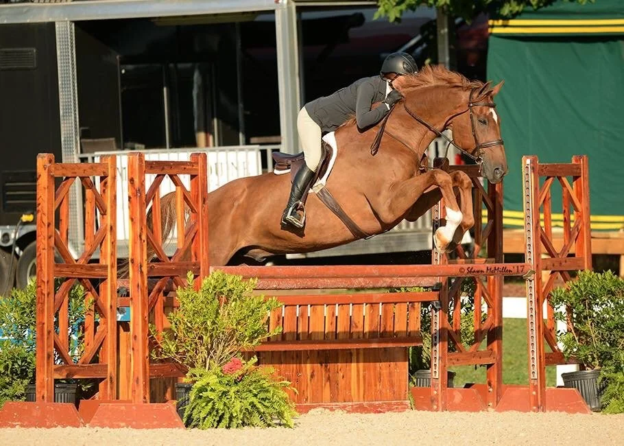 A person riding a horse jumping over an obstacle at an equestrian event.