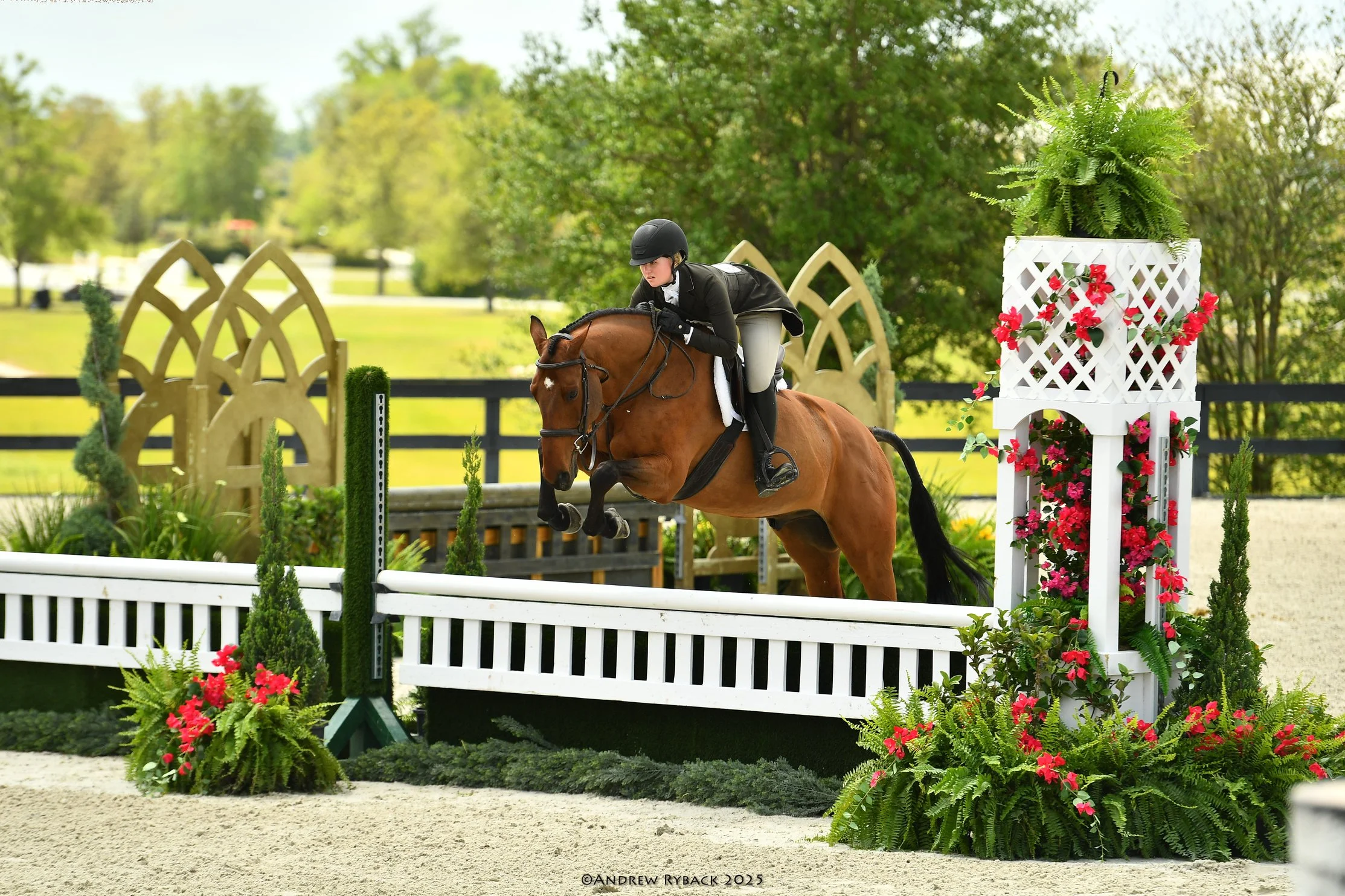 A female equestrian rider in black riding attire and helmet guiding her horse over a jump in an outdoor show jumping arena decorated with flowers and wooden structures, with trees in the background.