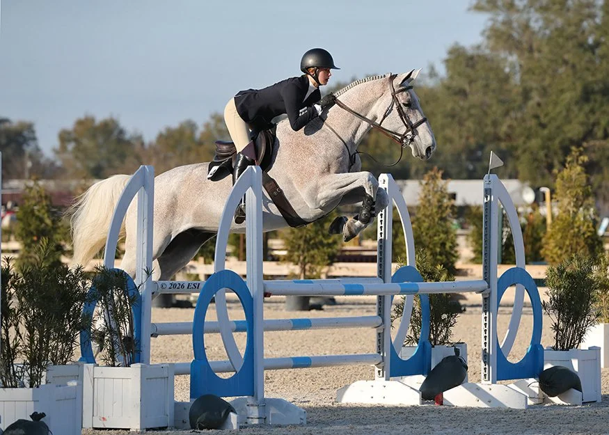 A woman riding a gray horse jumps over a blue and white obstacle in an outdoor equestrian arena.