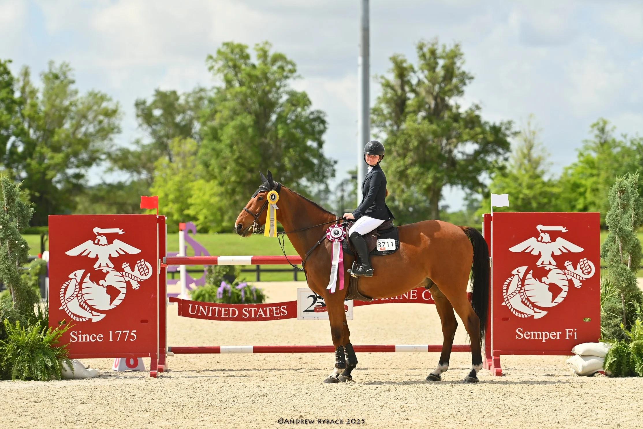 A rider on a brown horse during an equestrian competition. The rider is wearing a black helmet, white breeches, and a black jacket. The horse is adorned with ribbons and a saddle pad. The setting includes show jumping obstacles with red banners featu