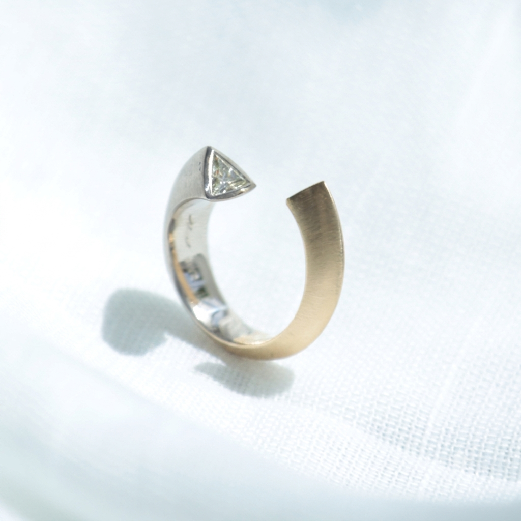 ring2b.jpg