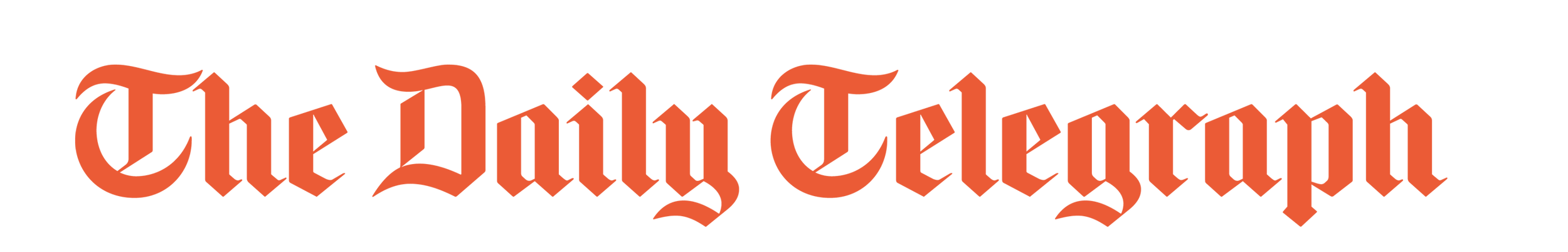 The logo of The Daily Telegraph, a British newspaper, in red gothic font.