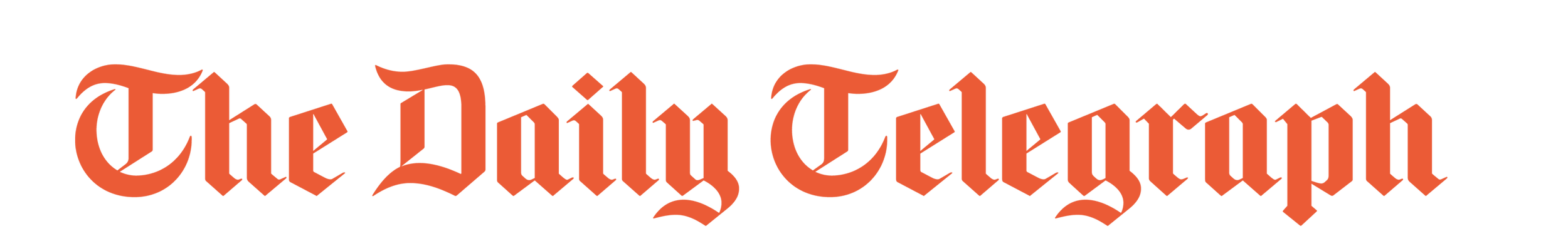 The logo of The Daily Telegraph in orange Gothic font.