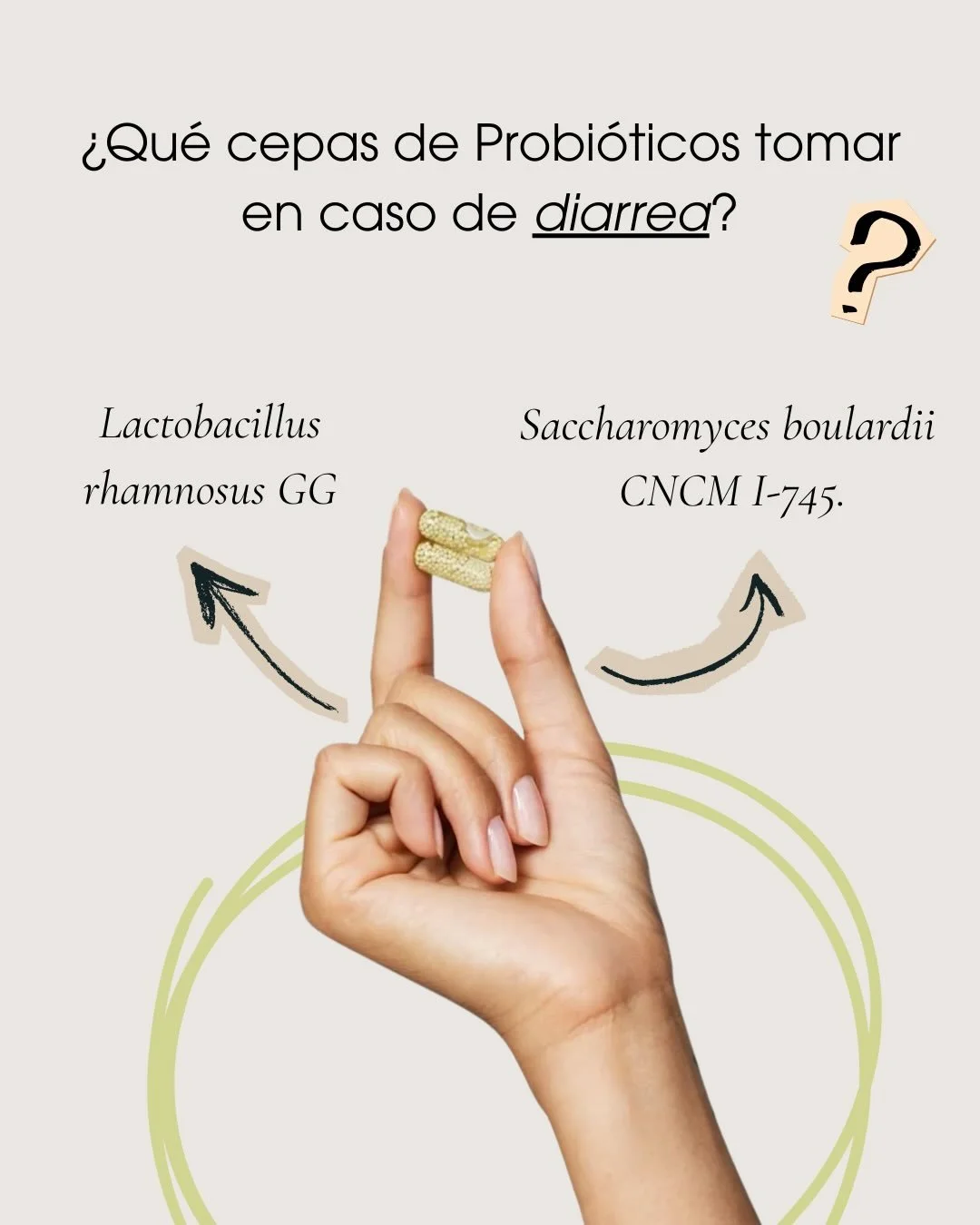 🦠 Probi&oacute;ticos con evidencia en diarrea
No todos los probi&oacute;ticos sirven para lo mismo.
En casos de diarrea, los m&aacute;s estudiados son:
✔️ Lactobacillus rhamnosus GG (LGG):
Ayuda a acortar la duraci&oacute;n de la diarrea y a recuper