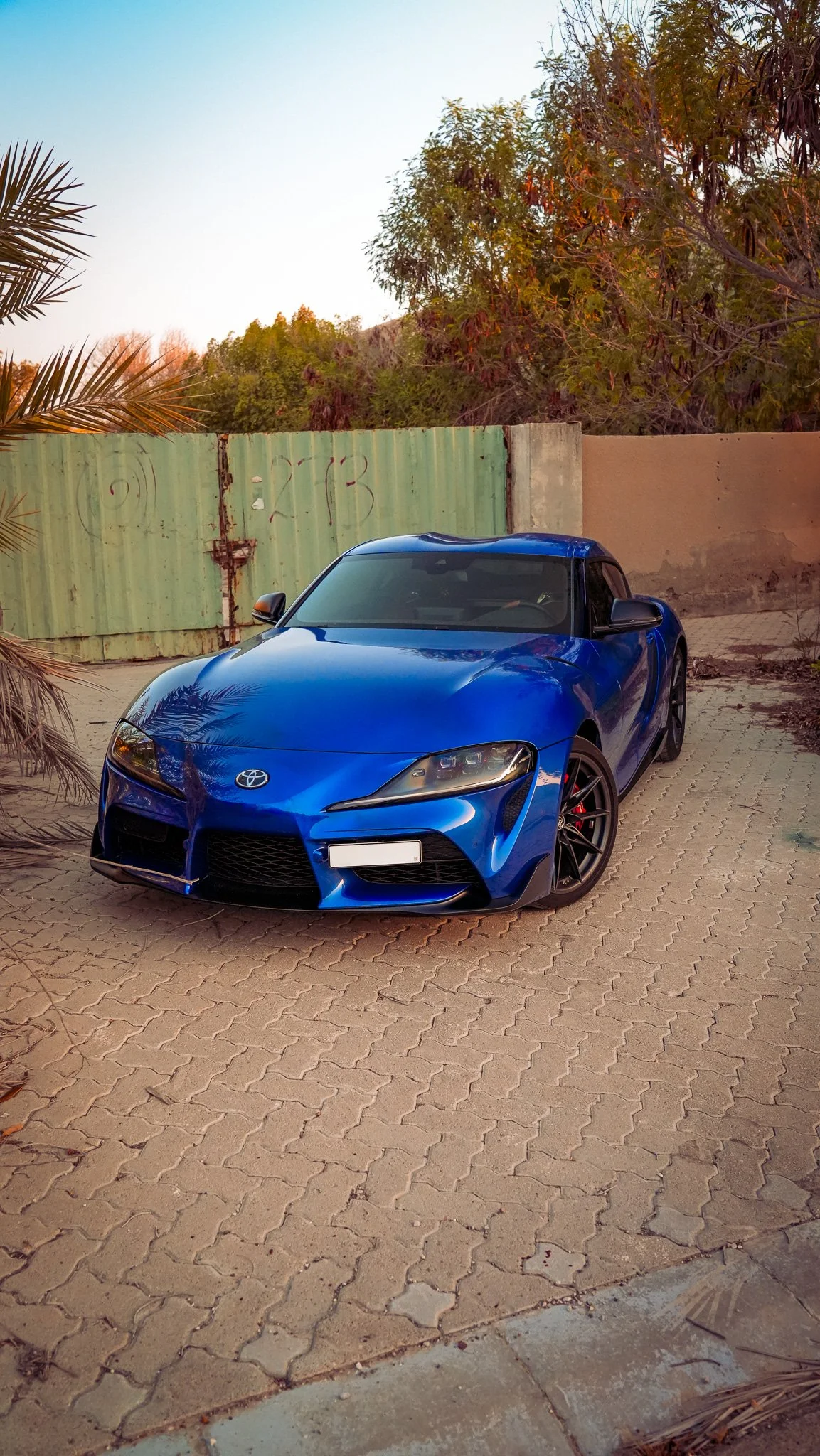 Blue Toyota sports car parked on paving stones in a backyard, with trees, a metal fence, and a wall in the background.