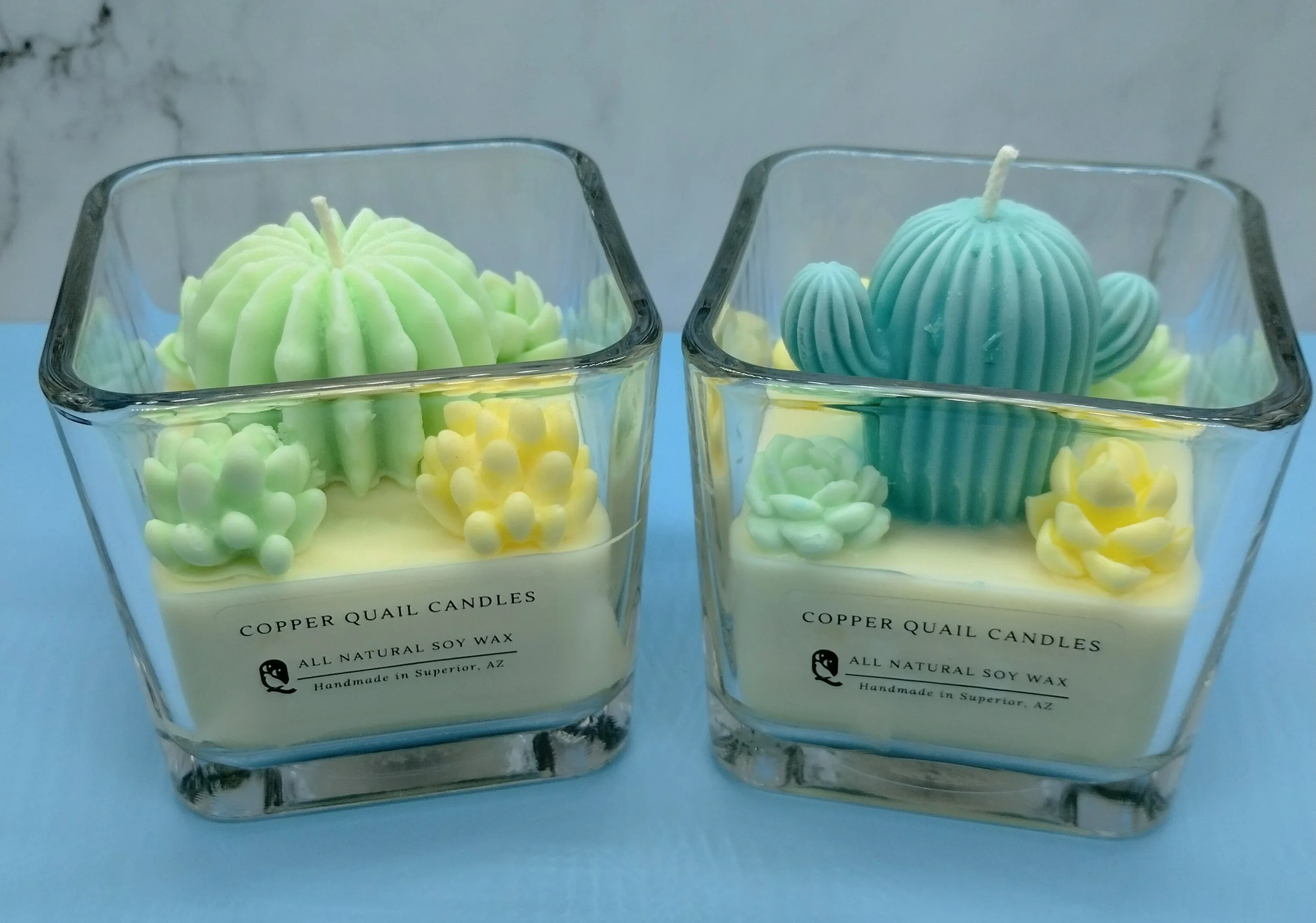 two candles with colorful cactus and succulent shapes on top in a square glass container
