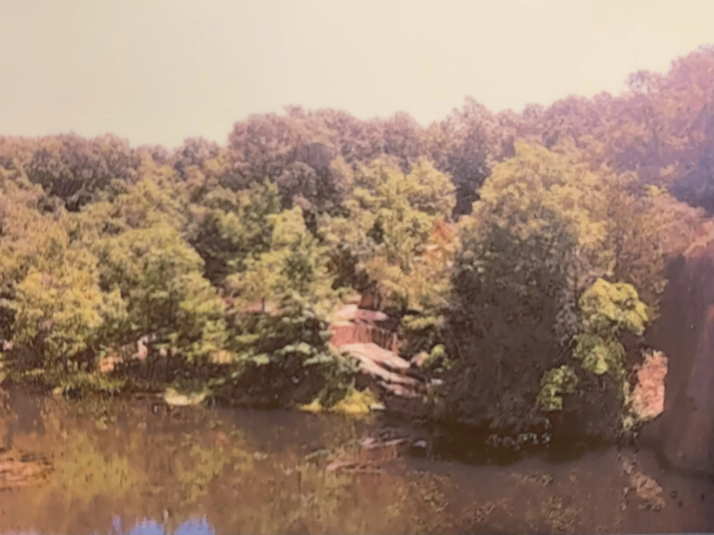 summer riverside.jpeg