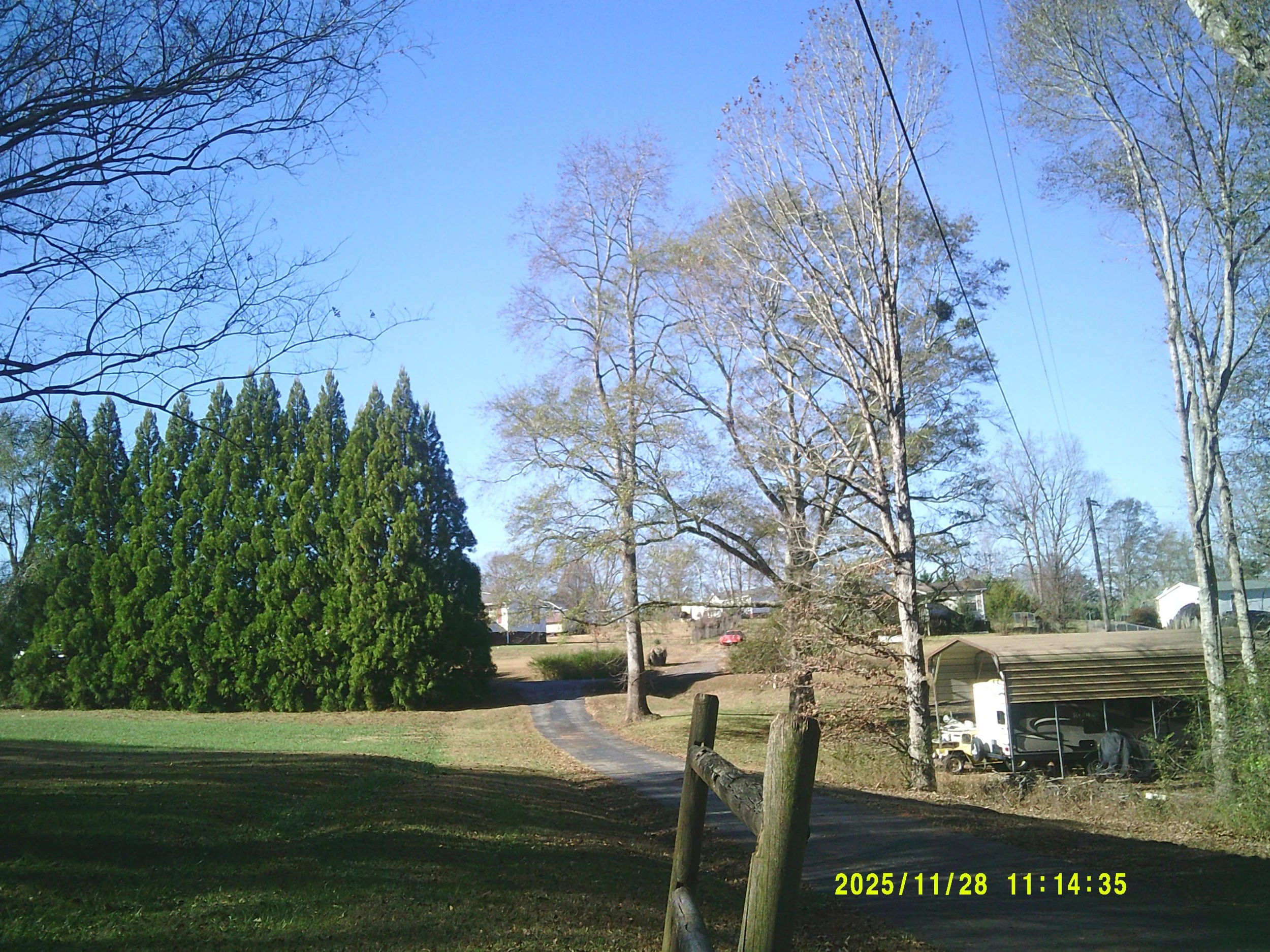 rural yard landscape.JPG