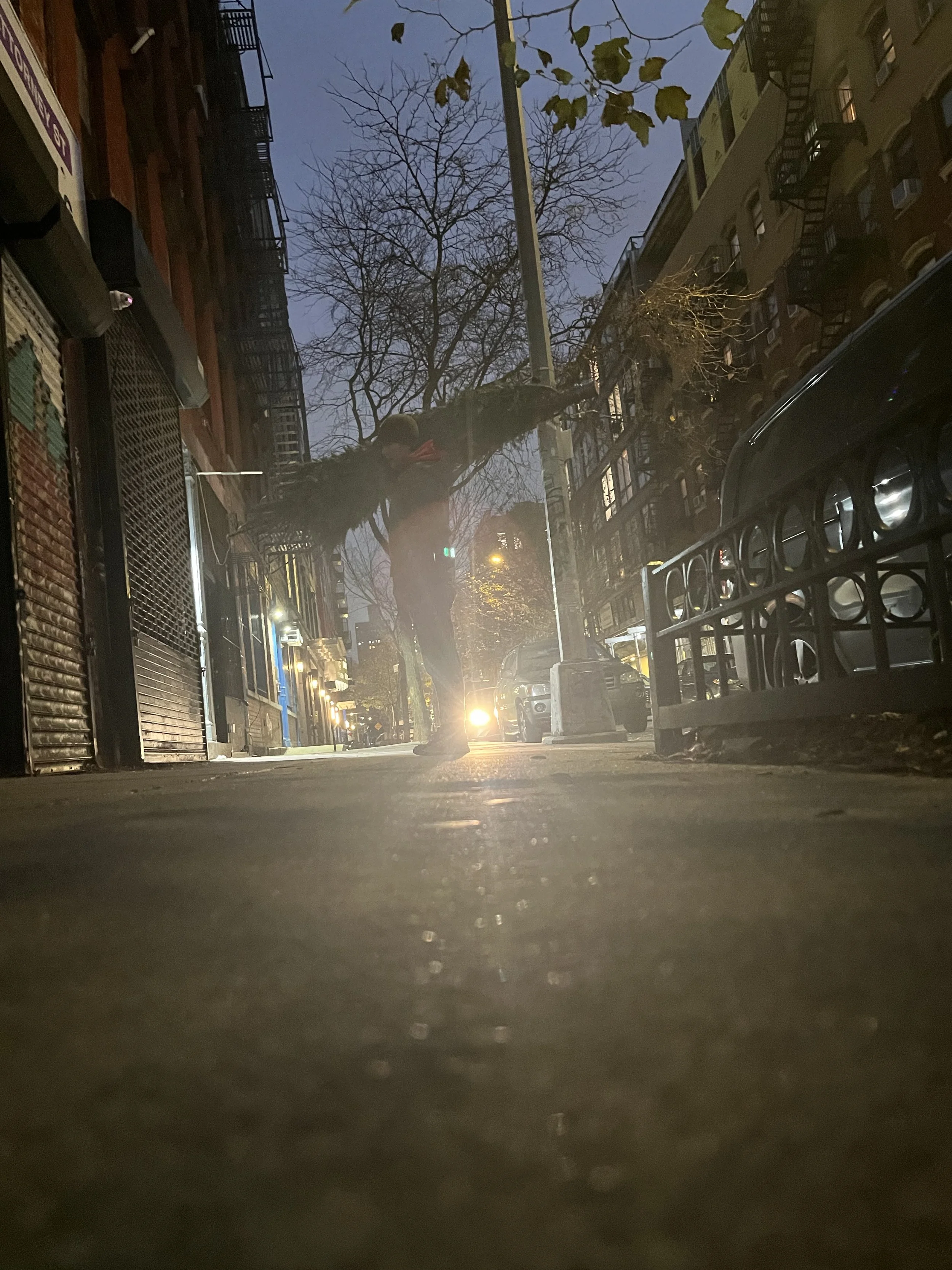 tree light.jpeg