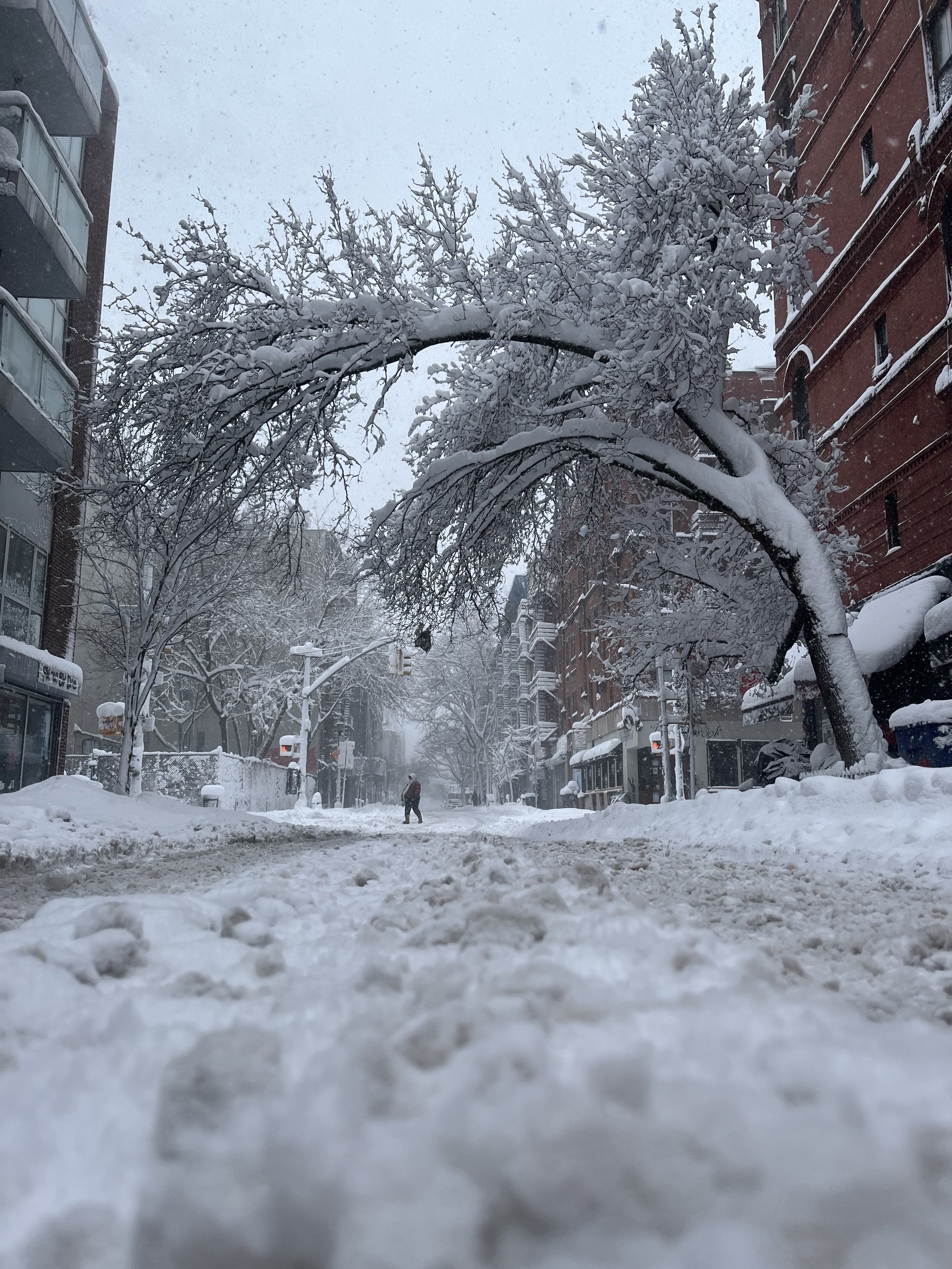 one with the snow.jpeg