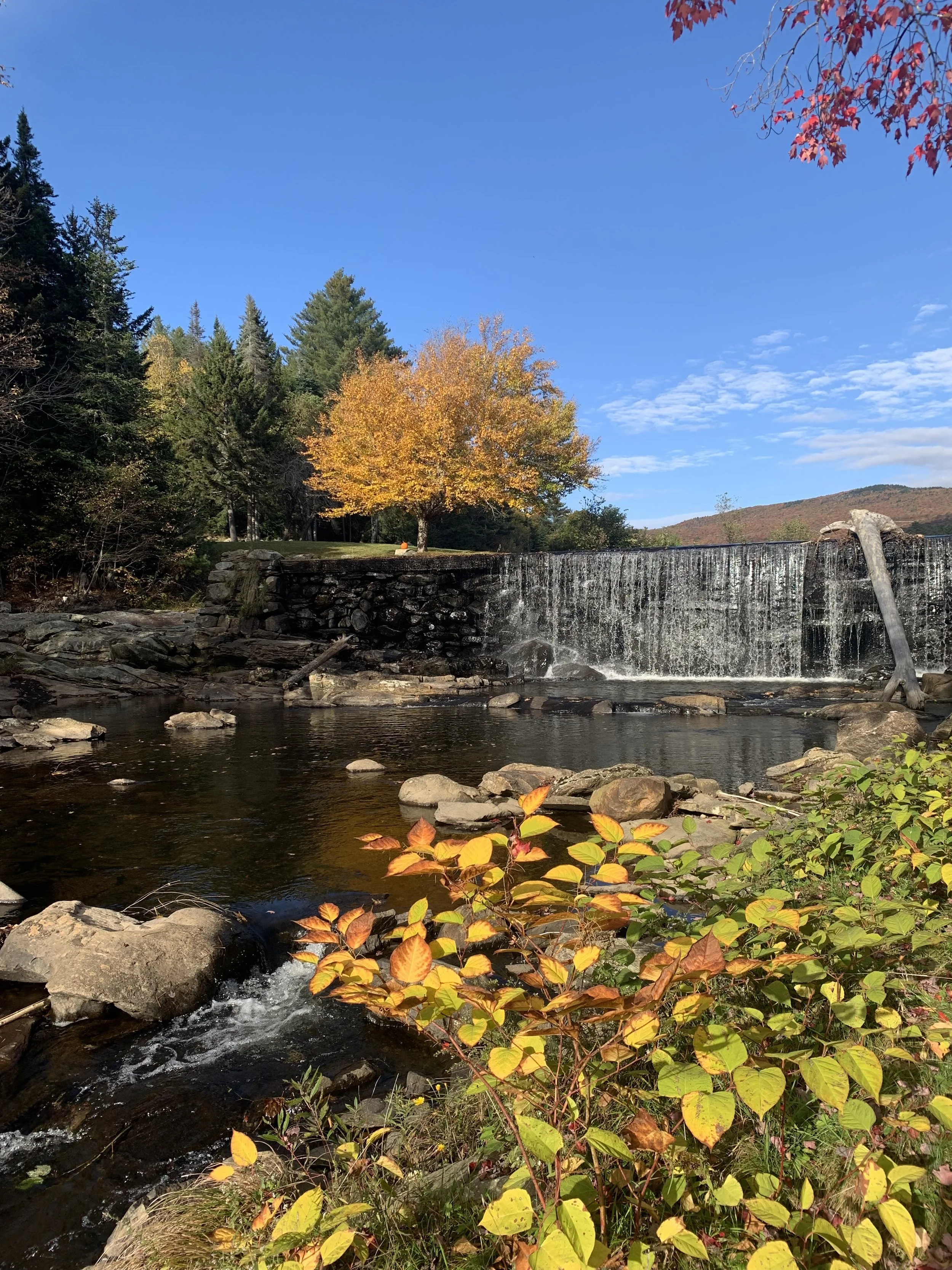 autumnal lakeview.jpeg