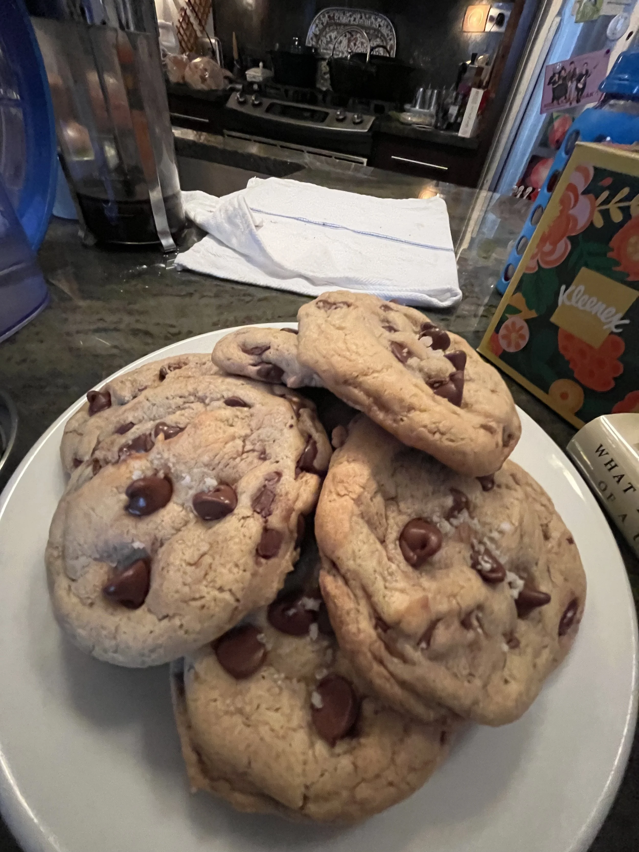 IMG_4039.jpeg