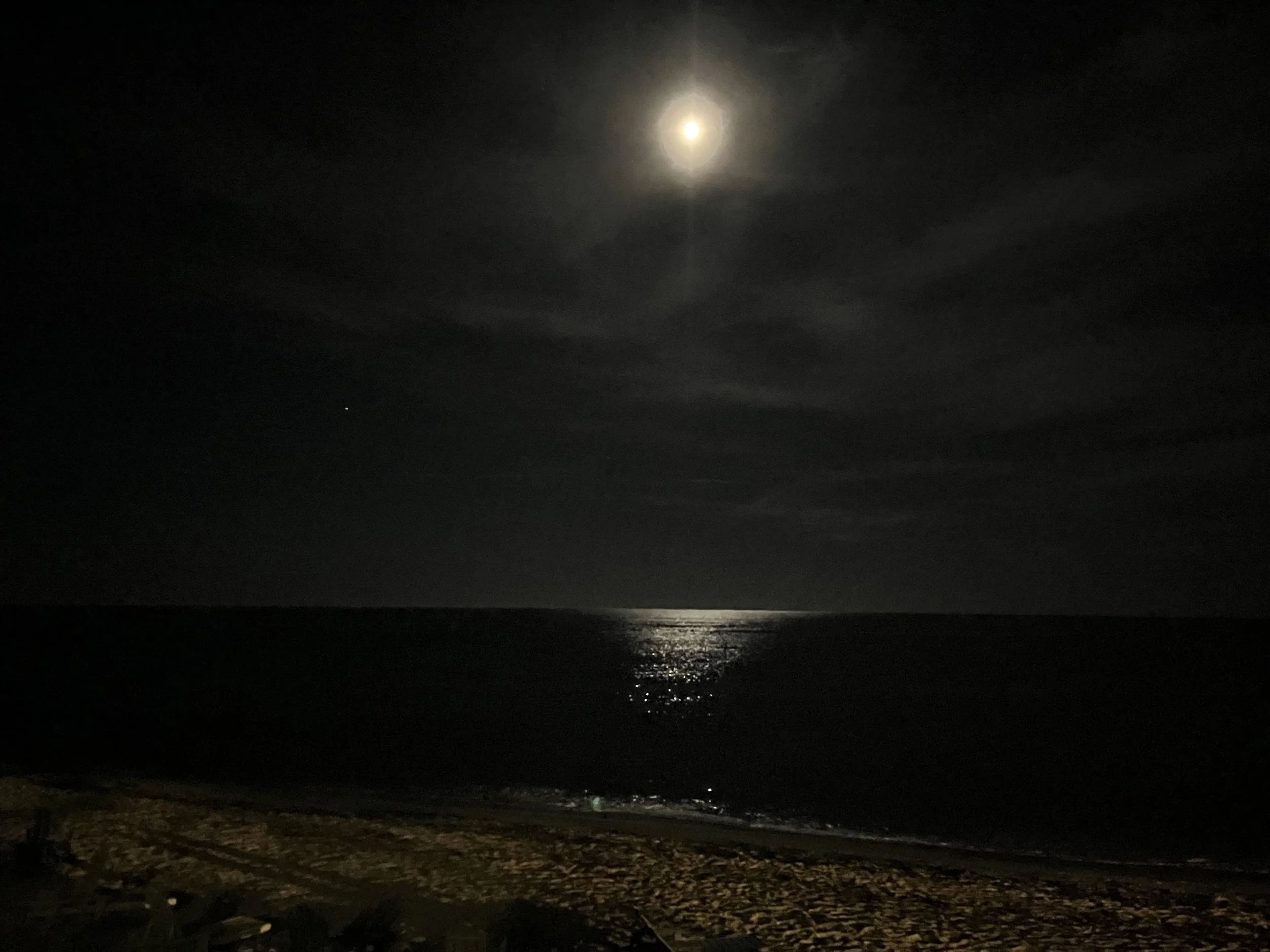 moonlit beach.jpeg