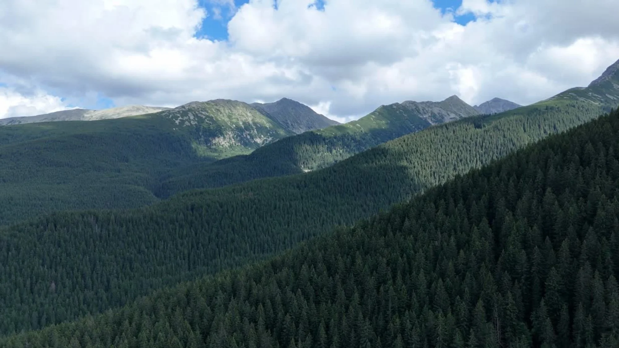 28Ten Mountain FI.jpg