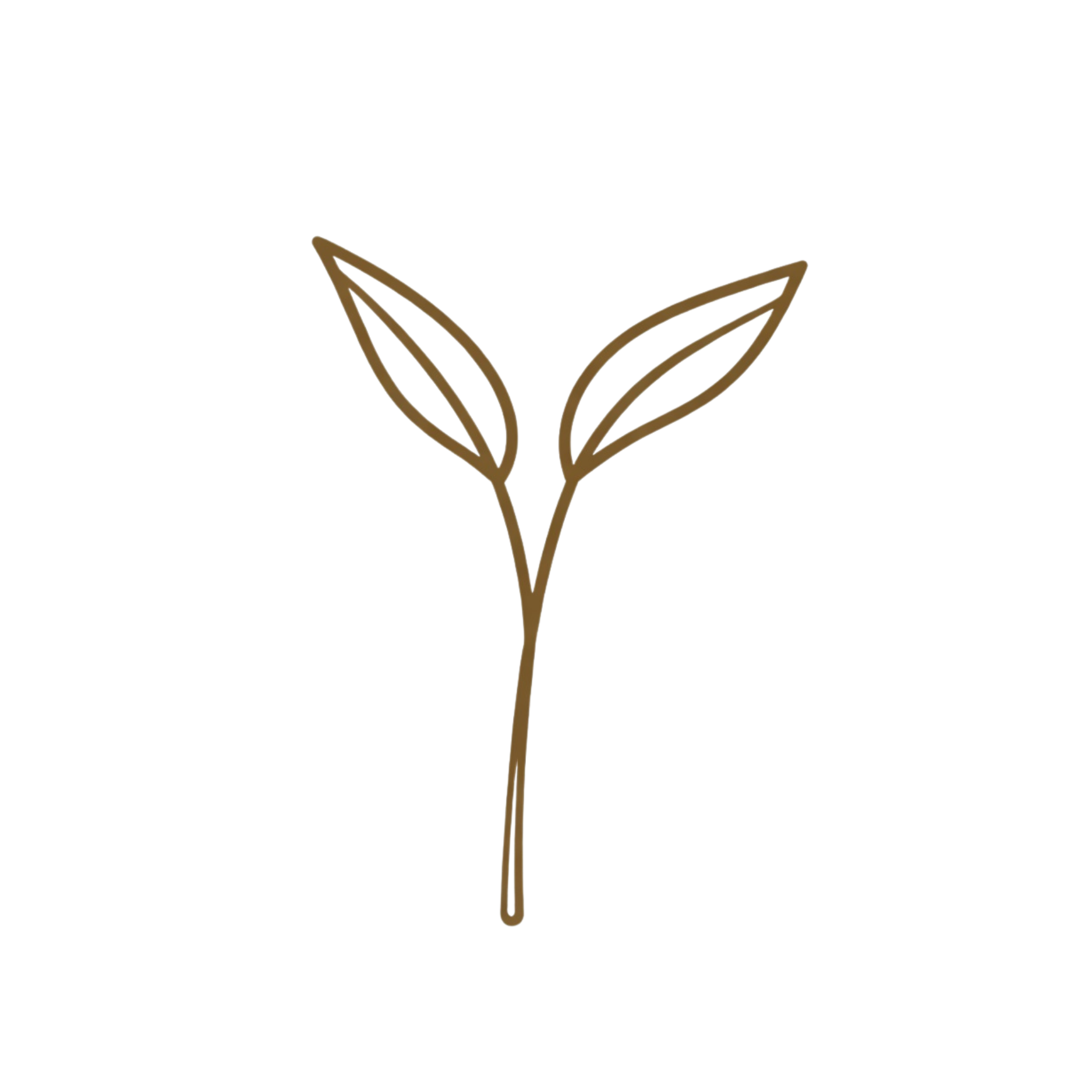 An illustration of sprouting bronze plant roots.