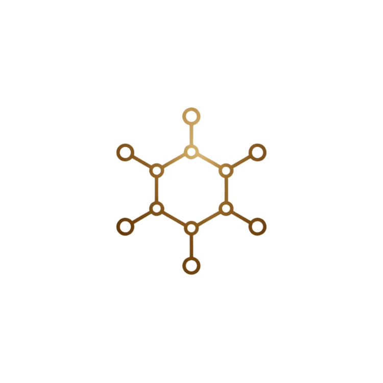 Symbol of family tree