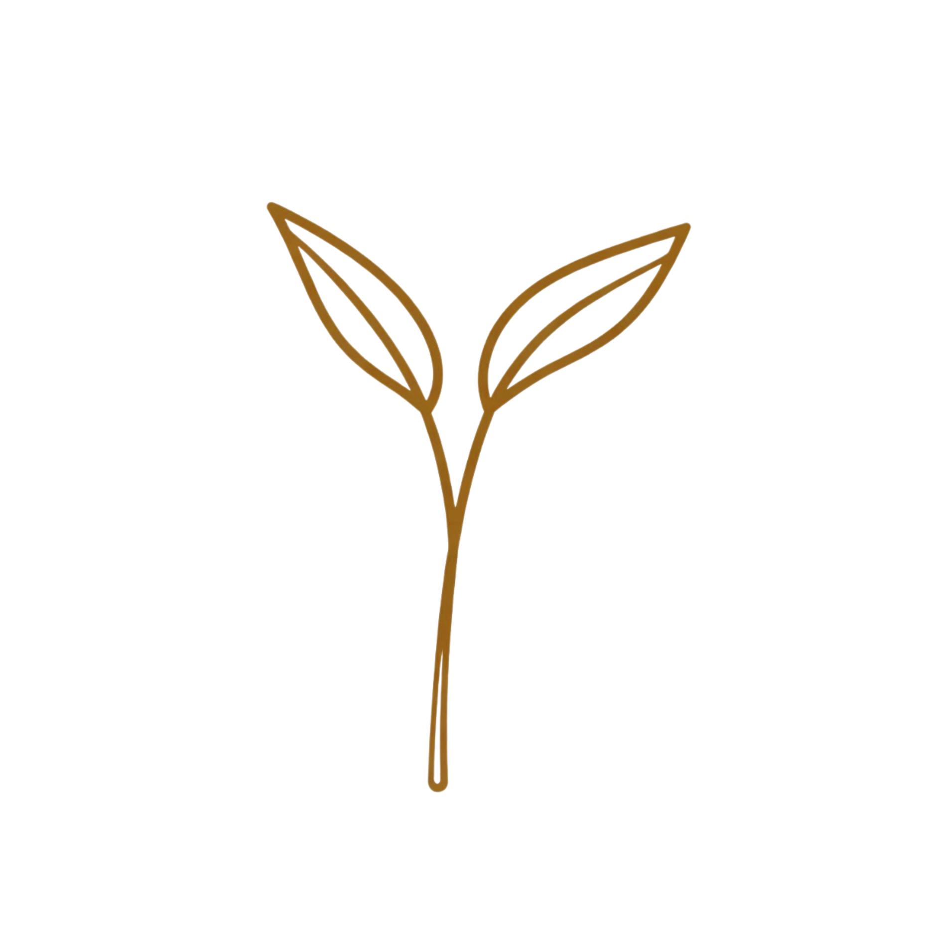 The 28Ten Roots