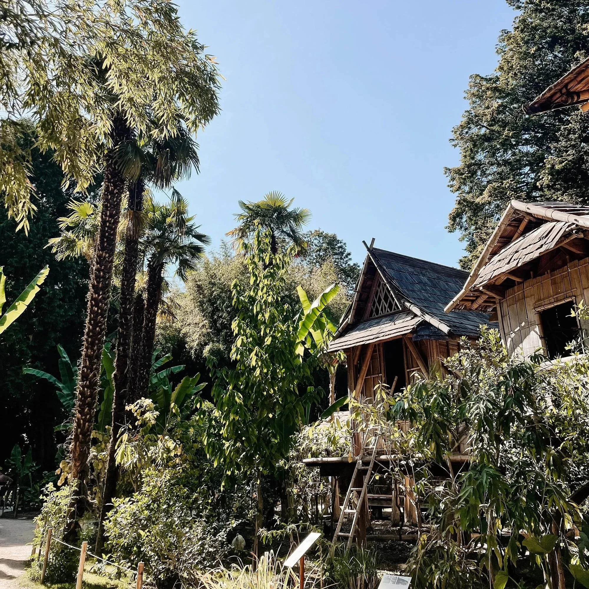 Die Bambouseraie en Cevennes: Ein exotischer Ausflug ganz in der Nähe unseres Ferienhauses