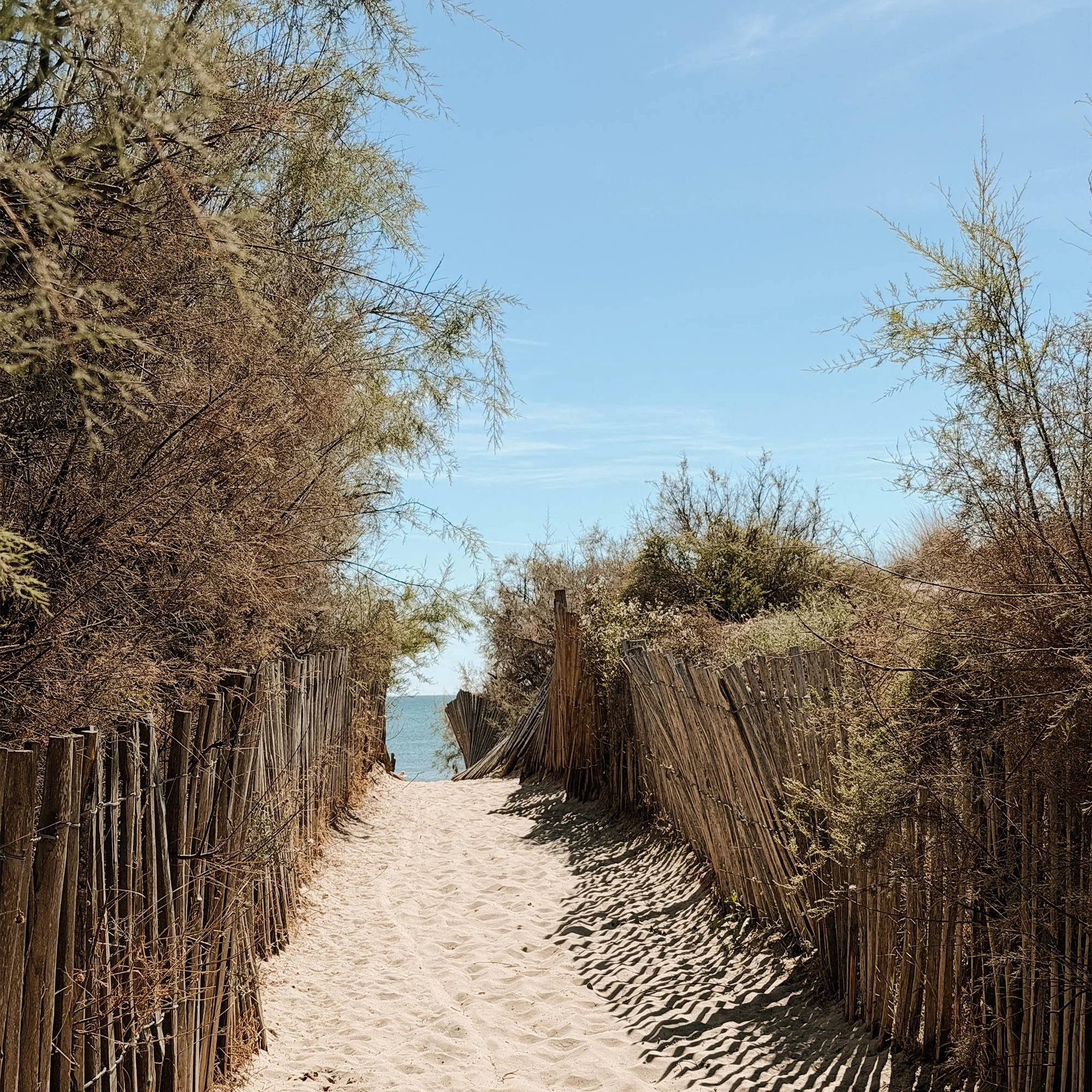 Tagesausflug ans Mittelmeer: Plage du Grand Travers 