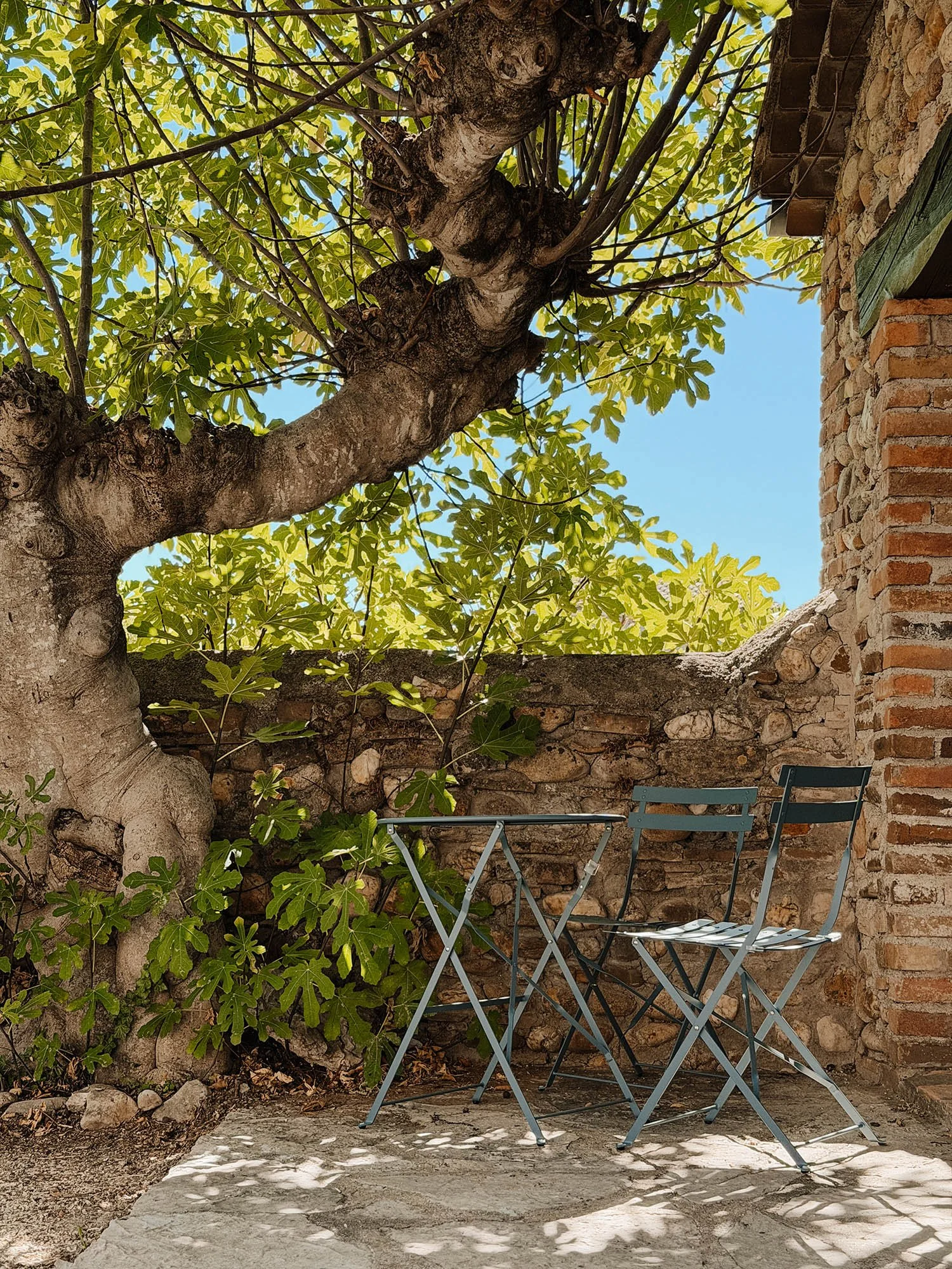 Ein Garten mit großen Baum, einer Steinmauer und einem kleinen Gartentisch mit Stühlen im Schatten
