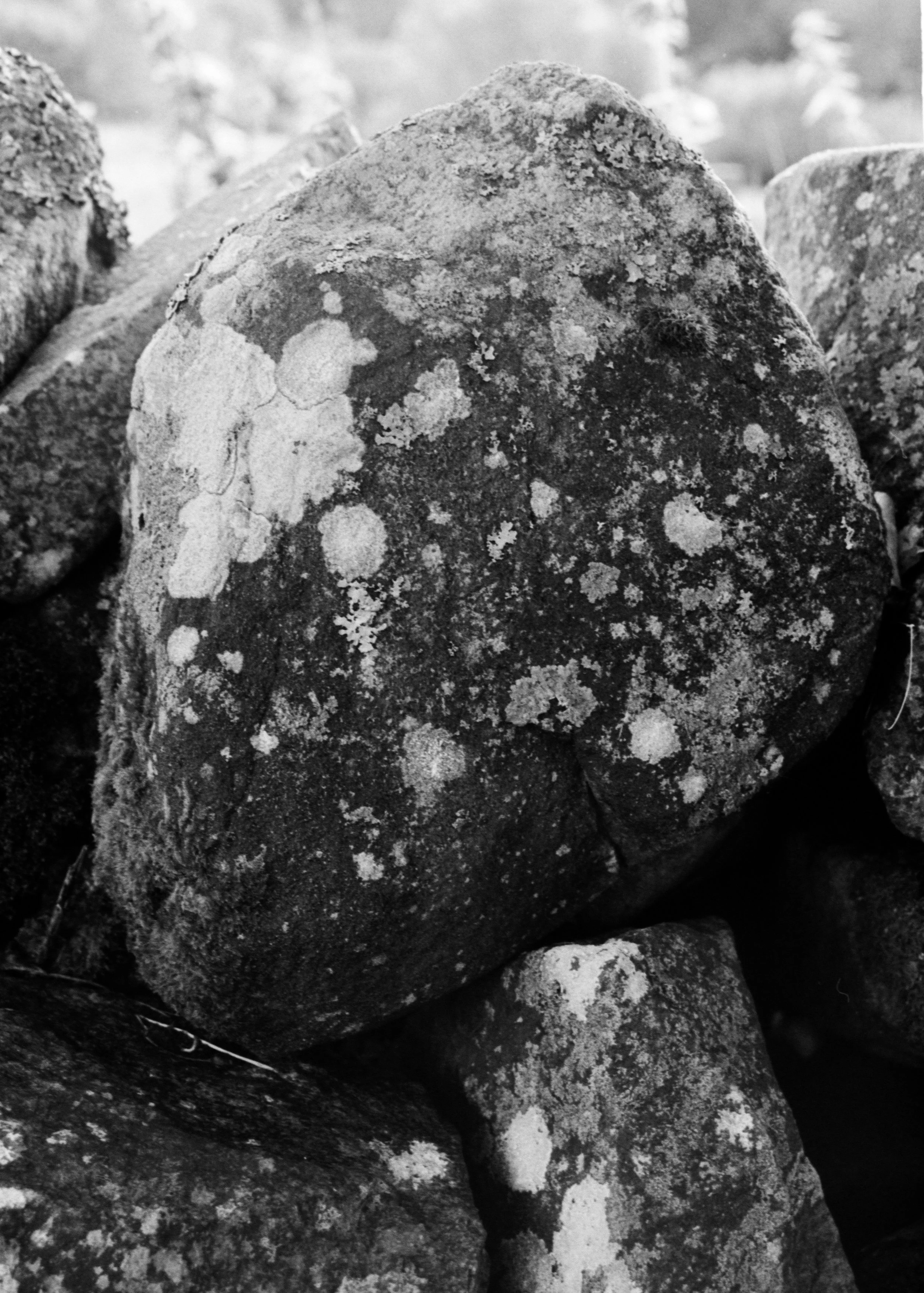 P108049920230101b.jpg