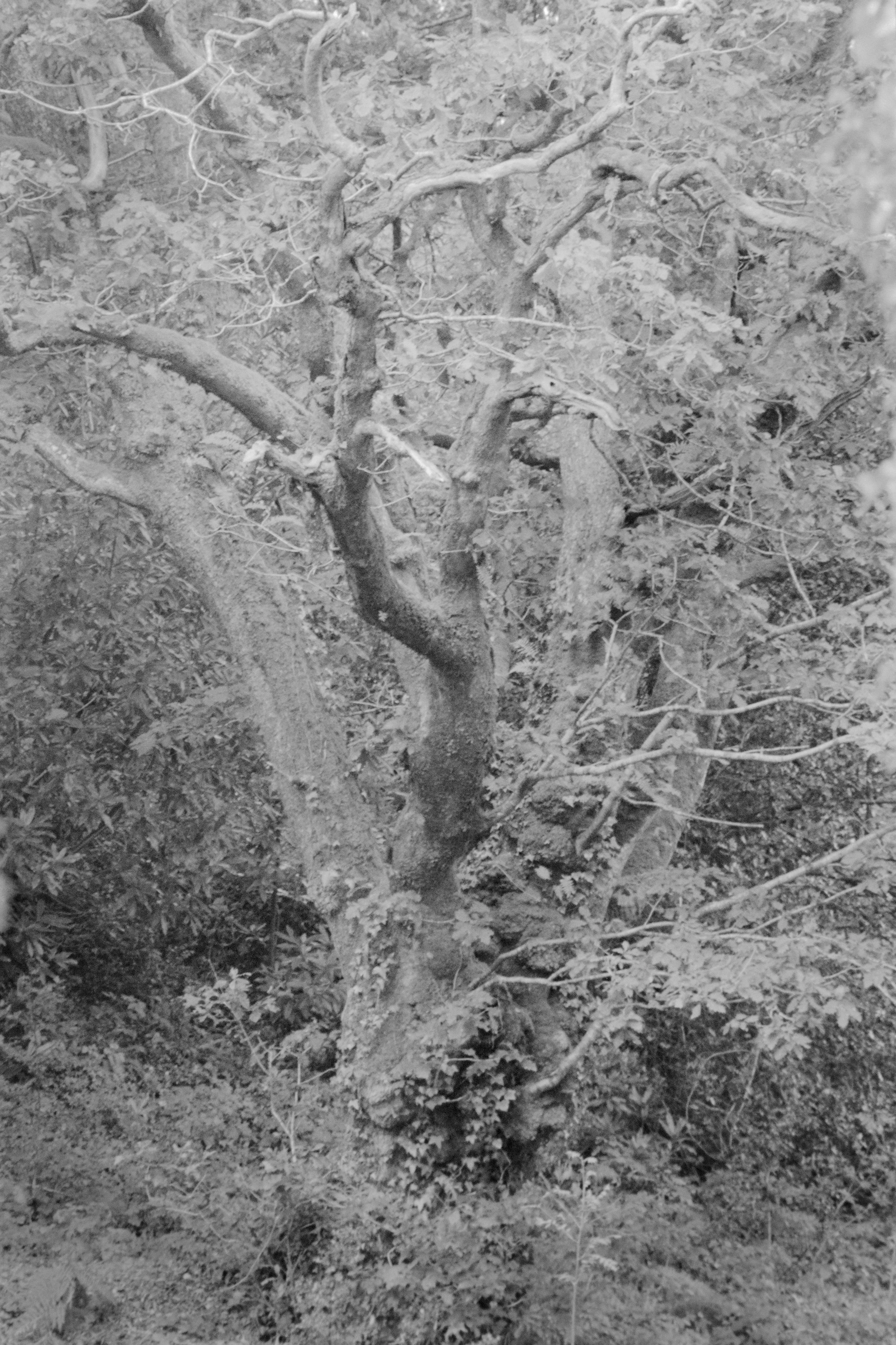 _1090648.jpg