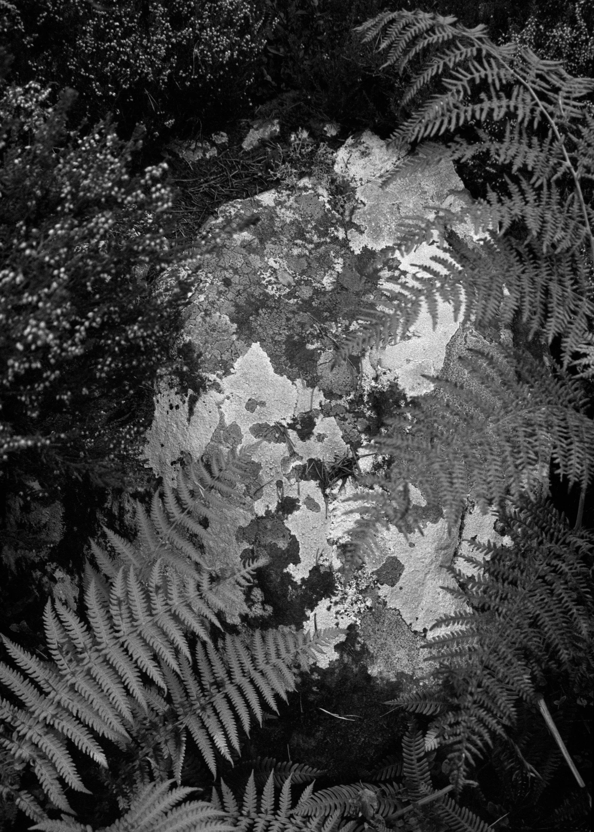 P108049720230101.jpg