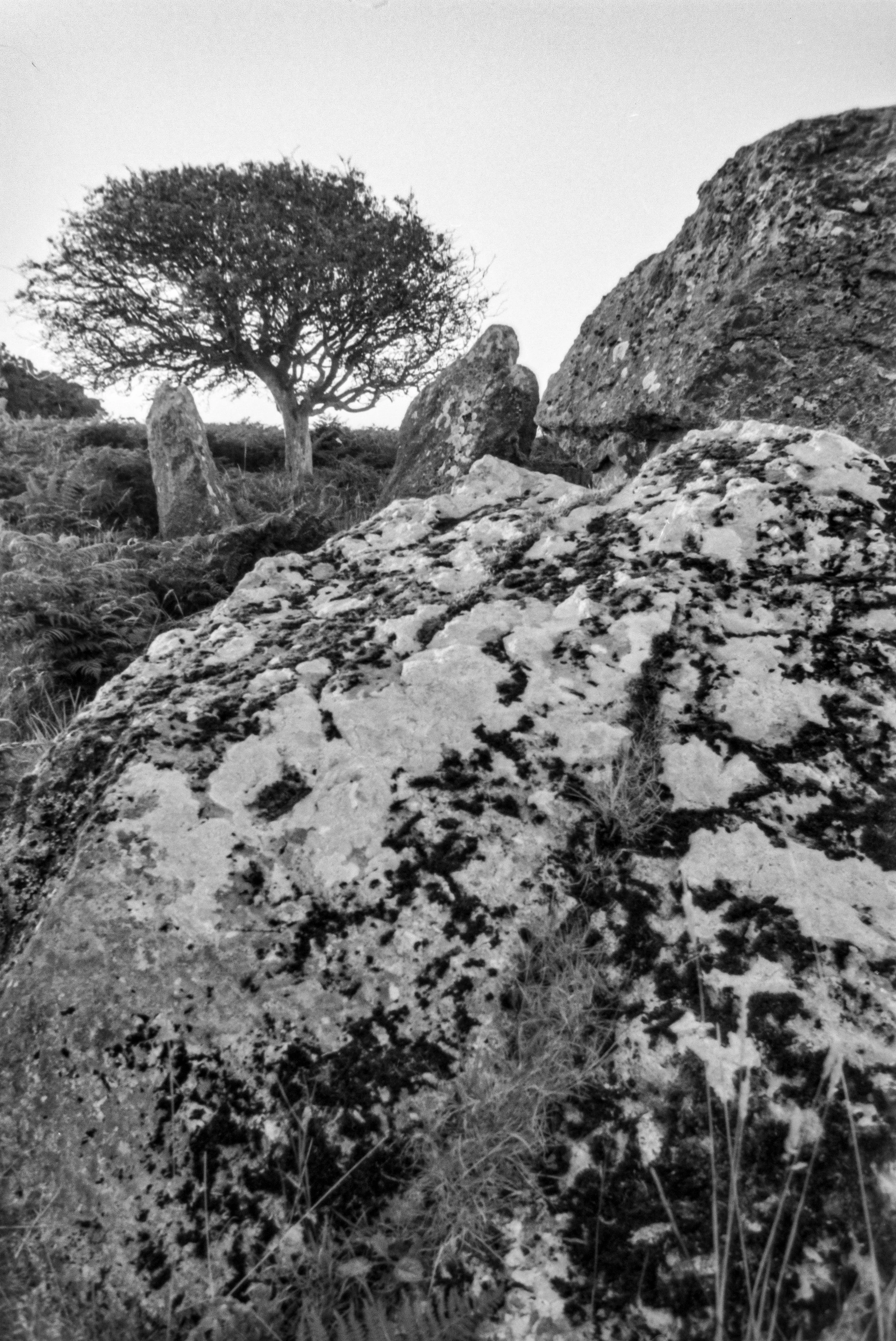 P1070872-HDR-Edit-2.jpg