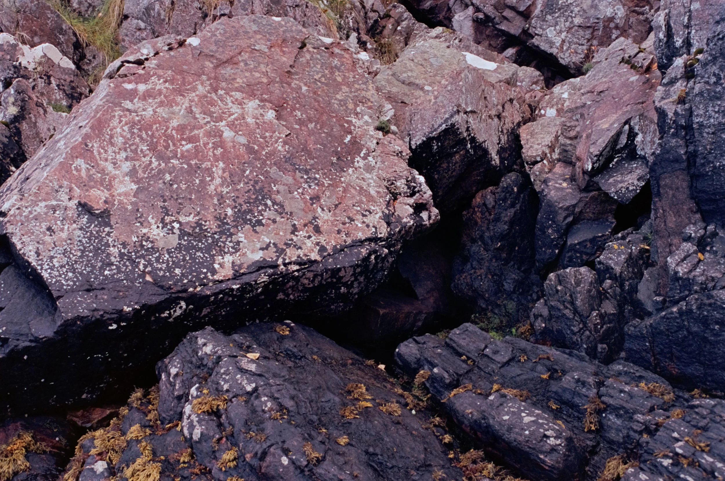 _DSC3651_48Bit_g2p0018.jpg