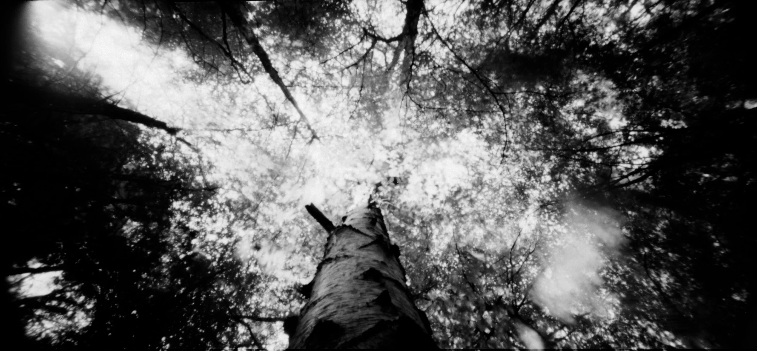 Untitled_Panorama-1.jpg
