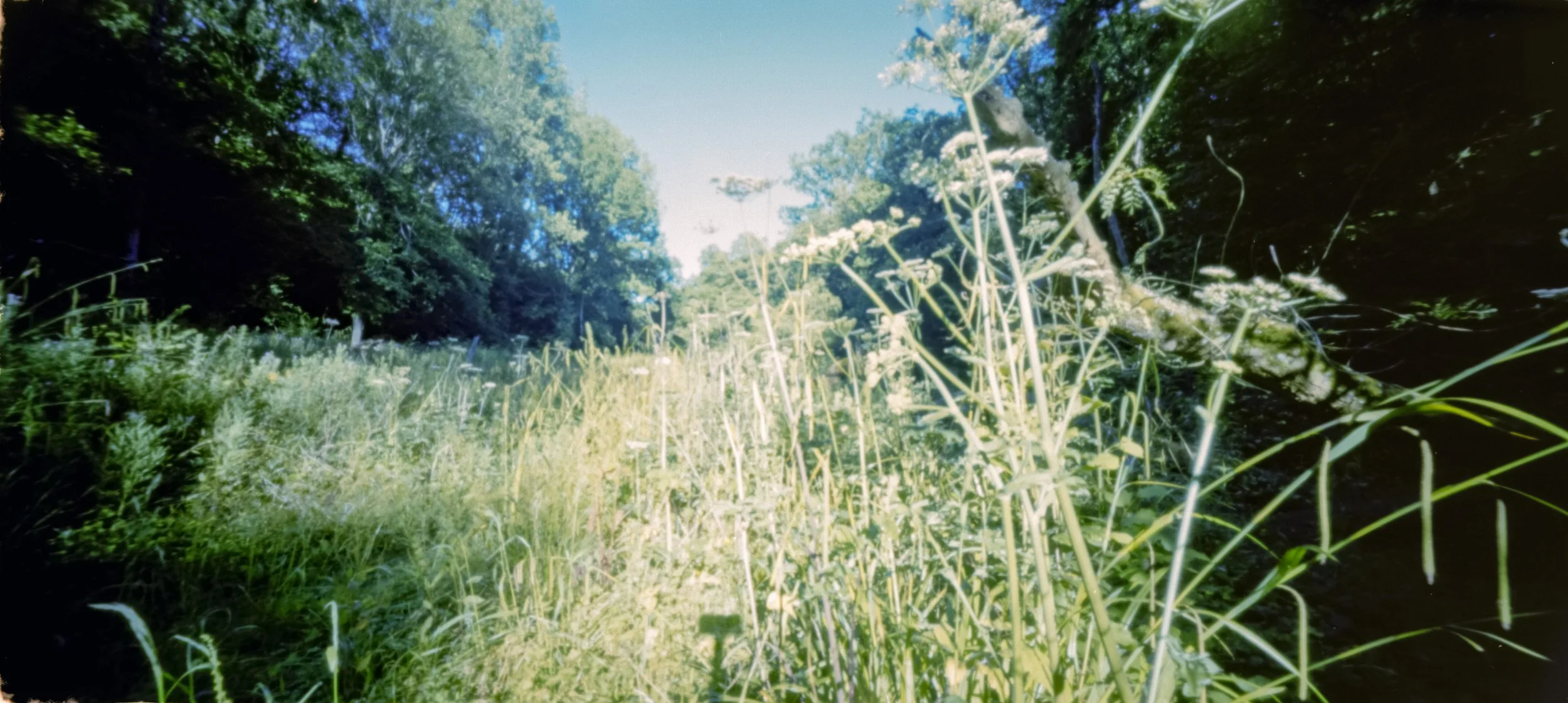 Portra160_2_48Bit_g2p0008.jpg