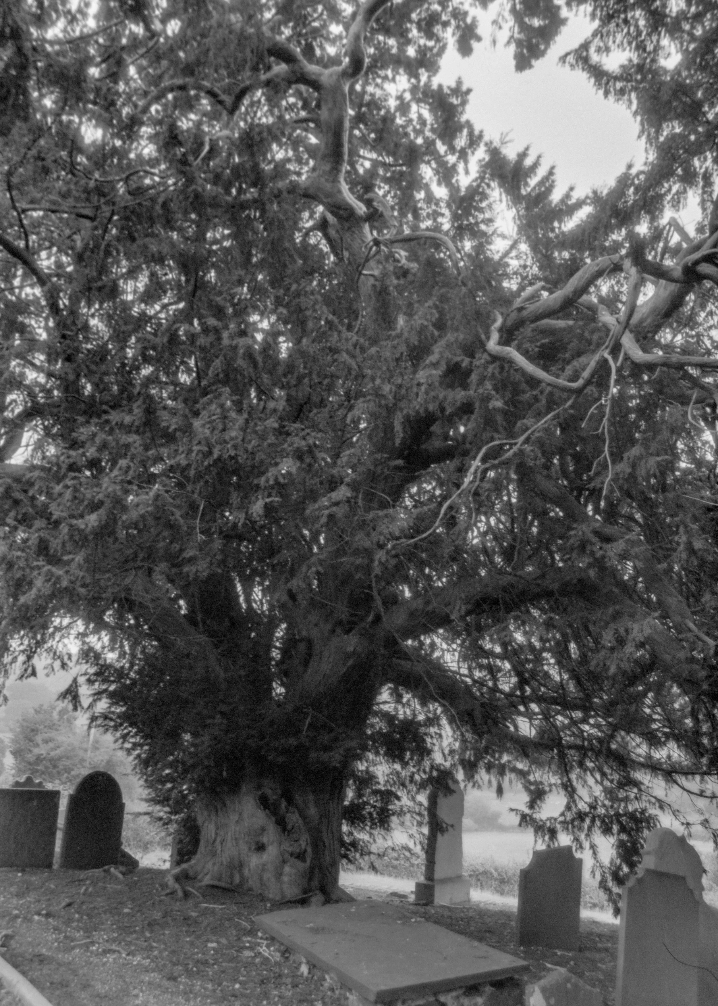 P1070885-HDR-Edit.jpg