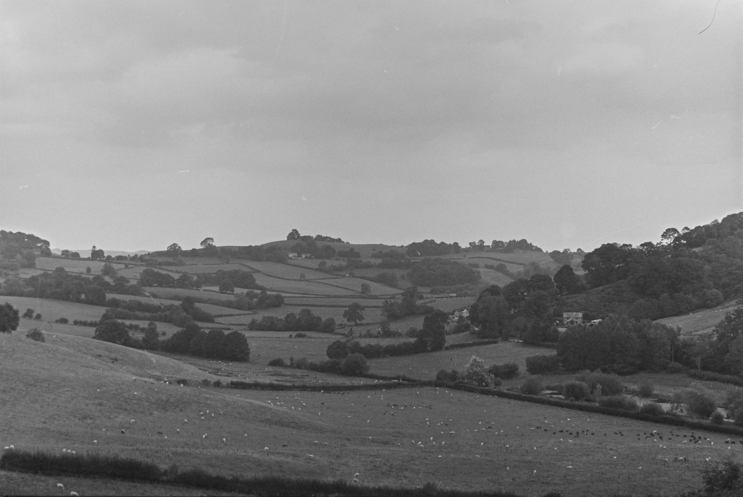 P1070901-HDR.jpg