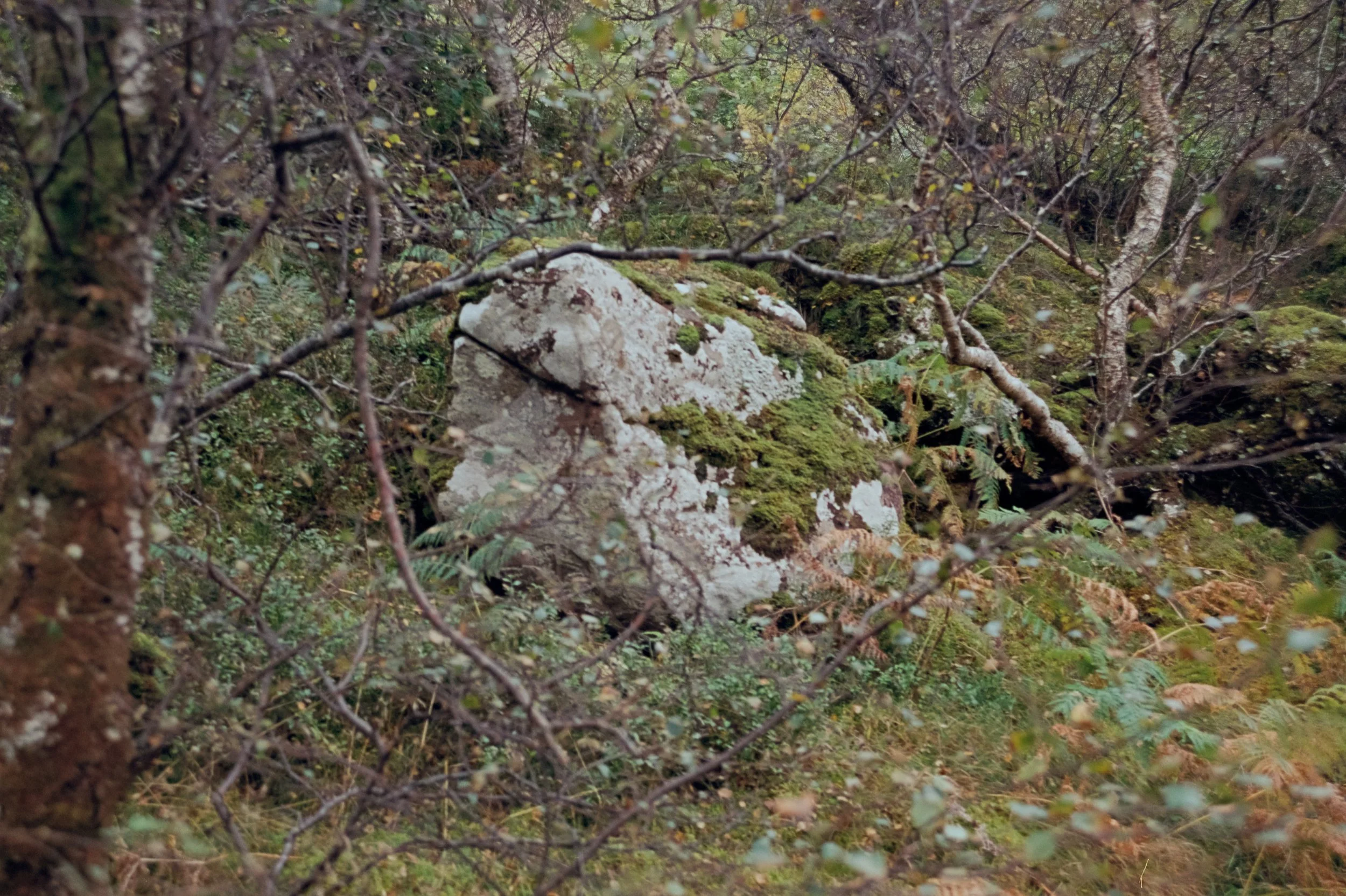 _DSC3656_48Bit_g2p0023.jpg
