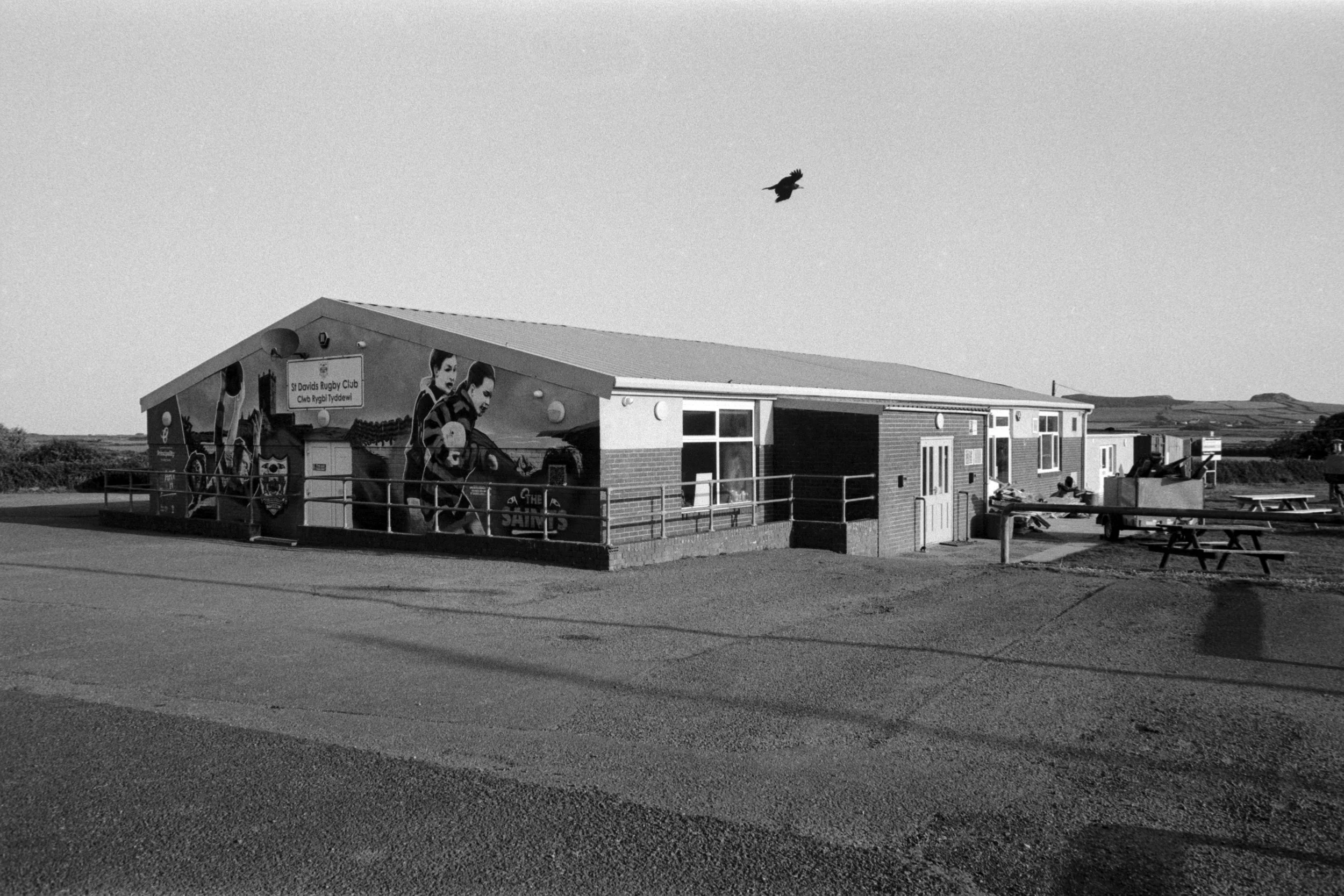 St Davids RFC