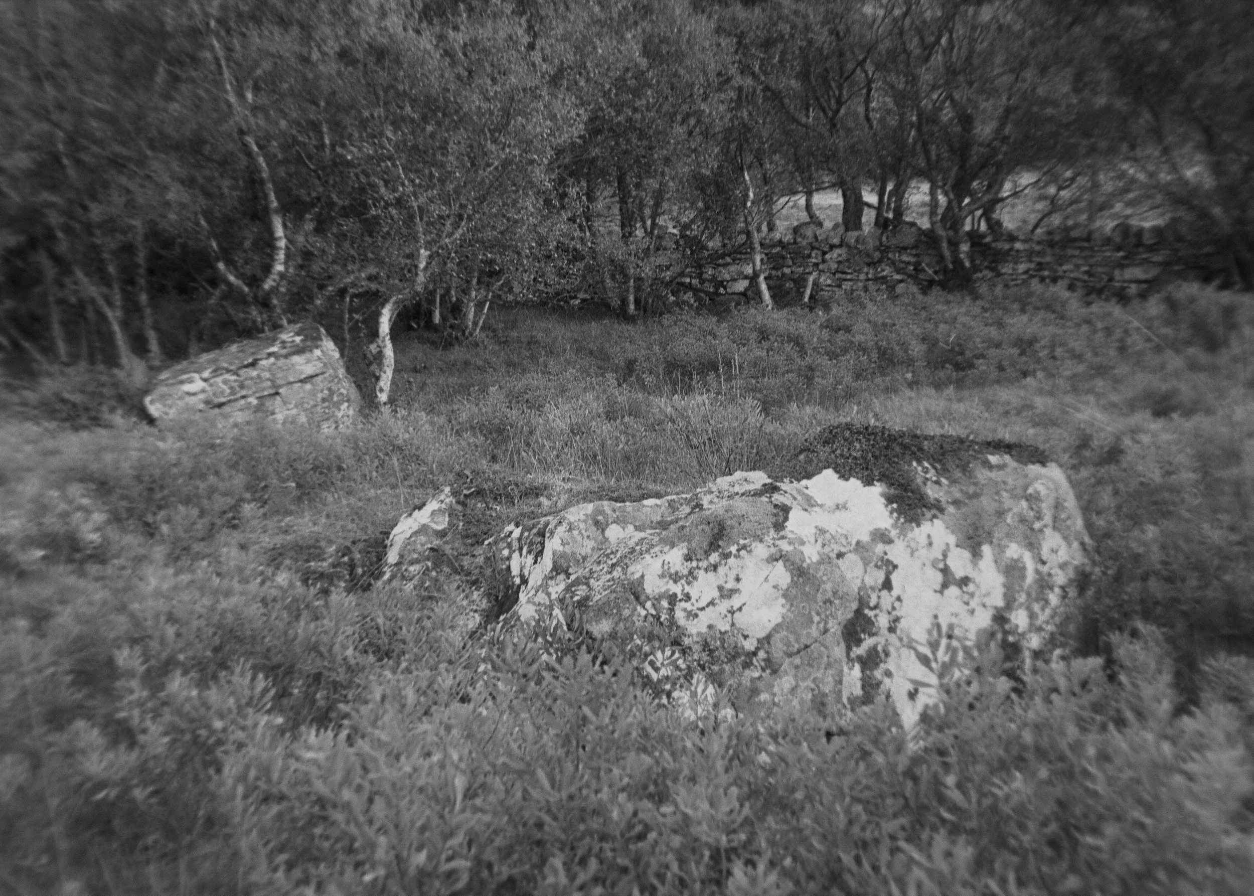 P1070095_edit.jpg