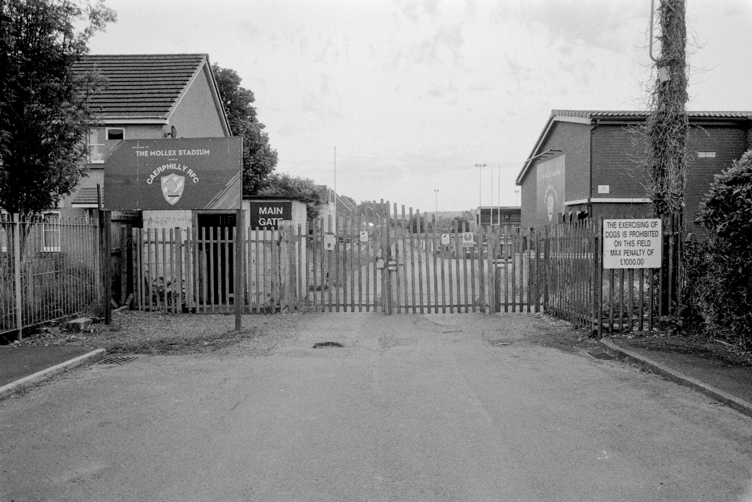 Caerphilly RFC